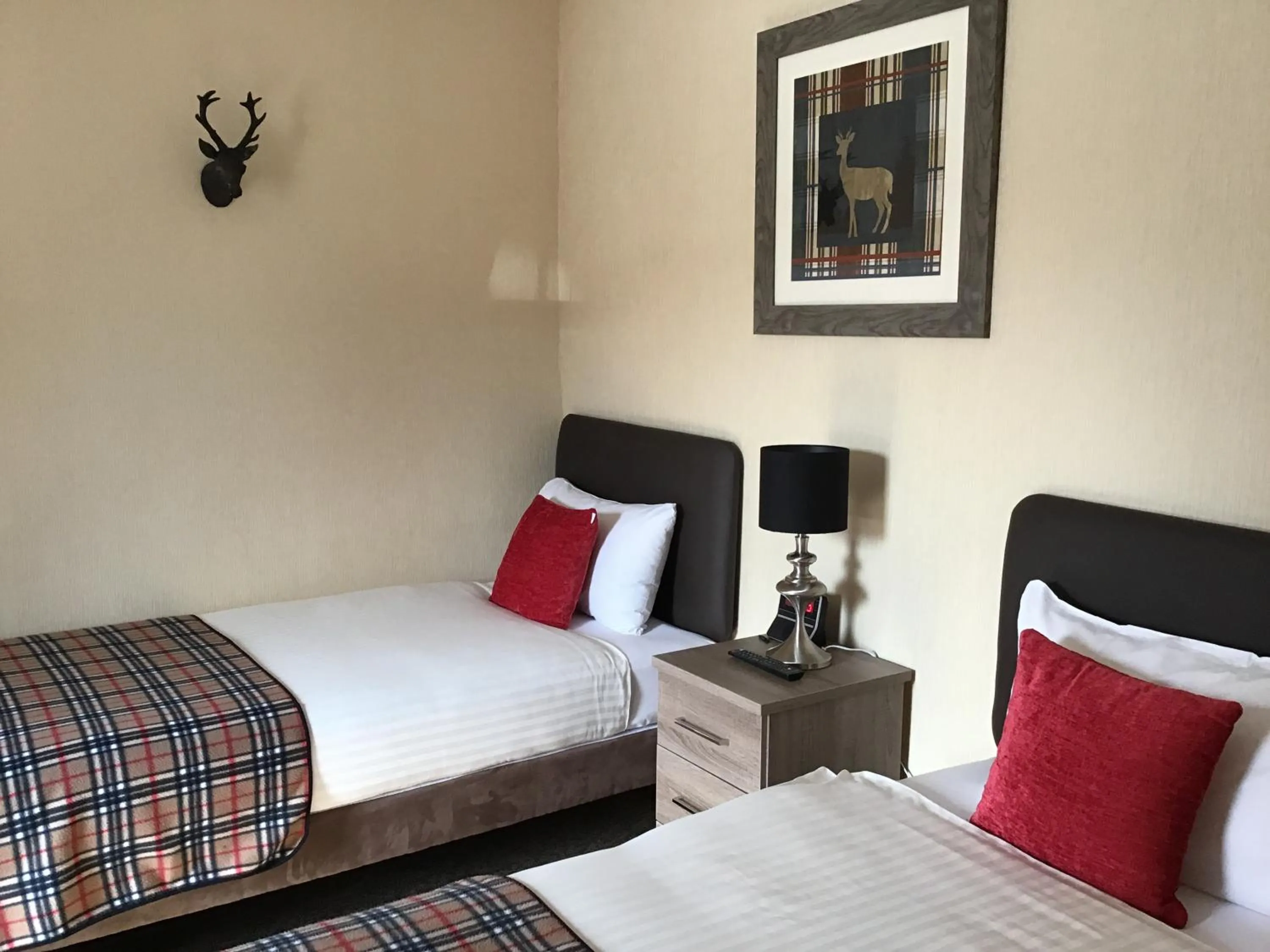 Twin Room in Eskdale Guest House