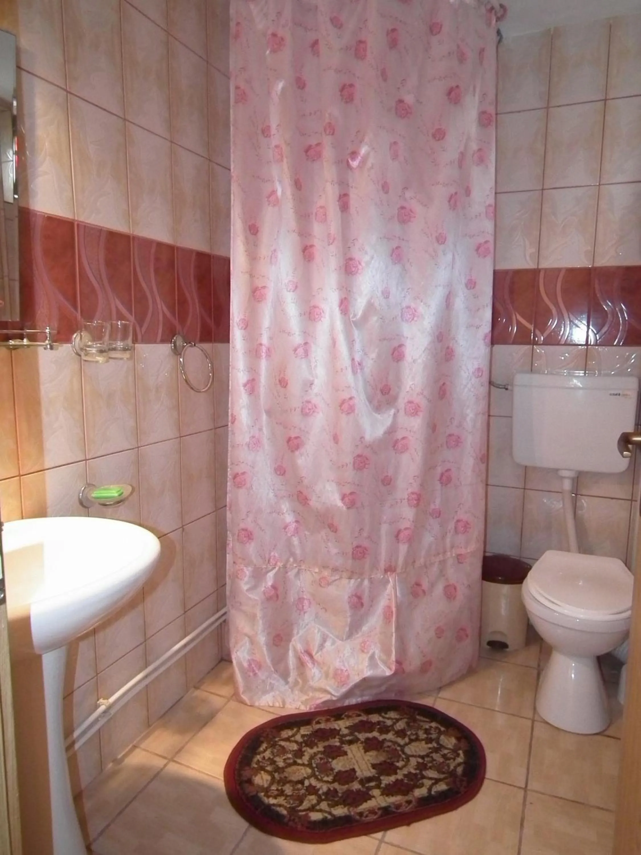 Deluxe Double Room in Pensiunea Irina 1 si 2