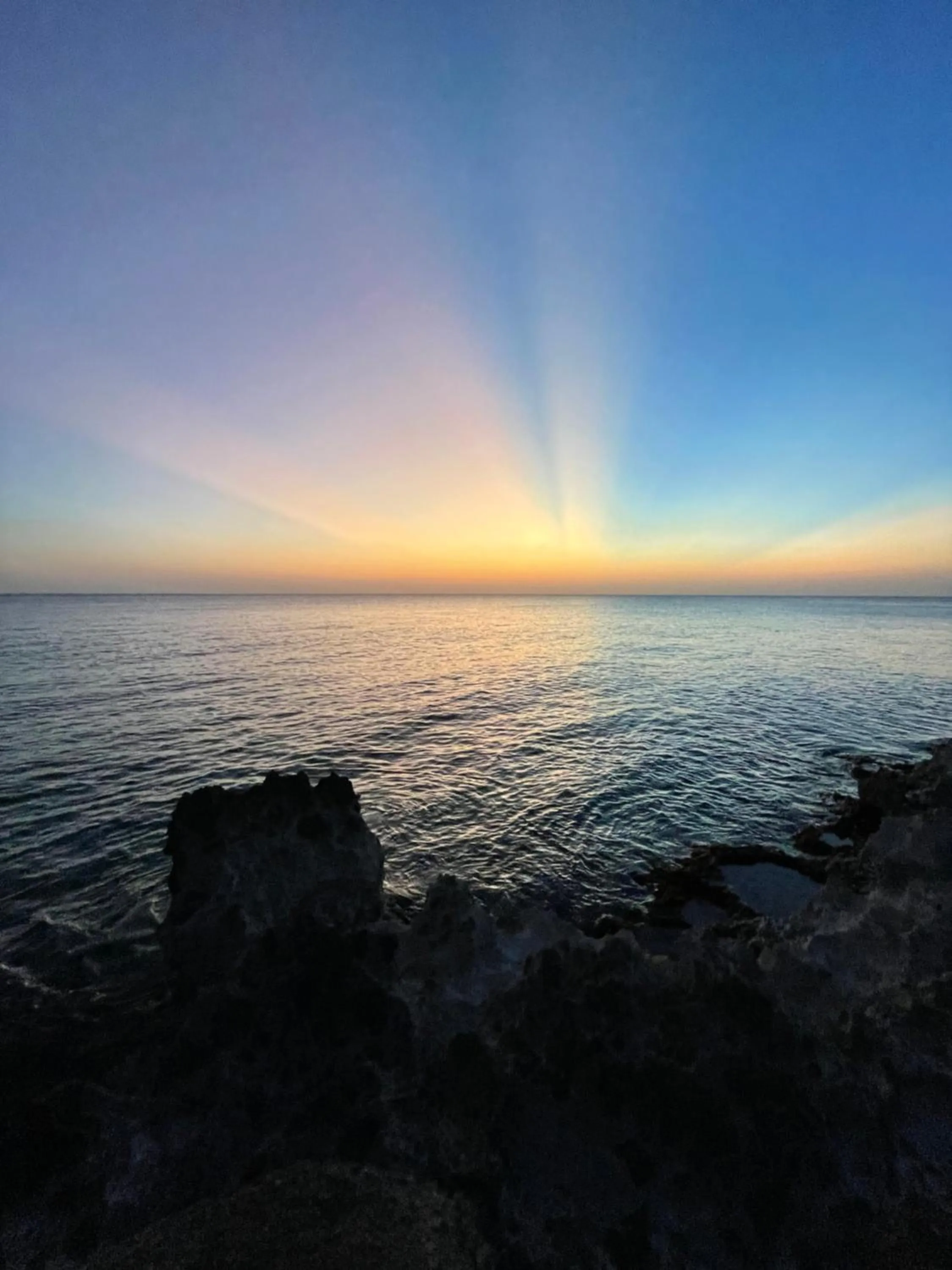Natural landscape in Casa de las Flores tropical