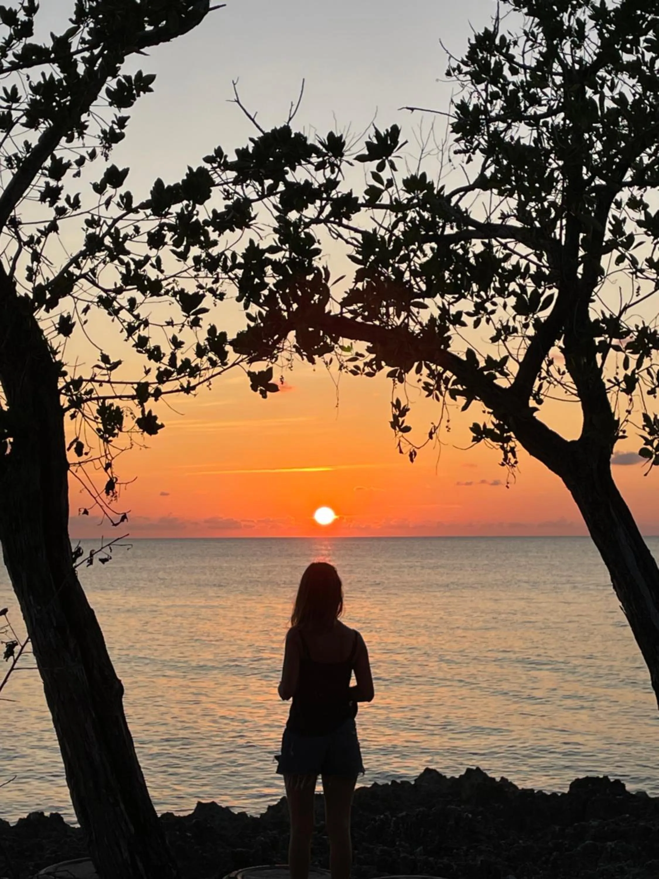 Natural landscape in Casa de las Flores tropical