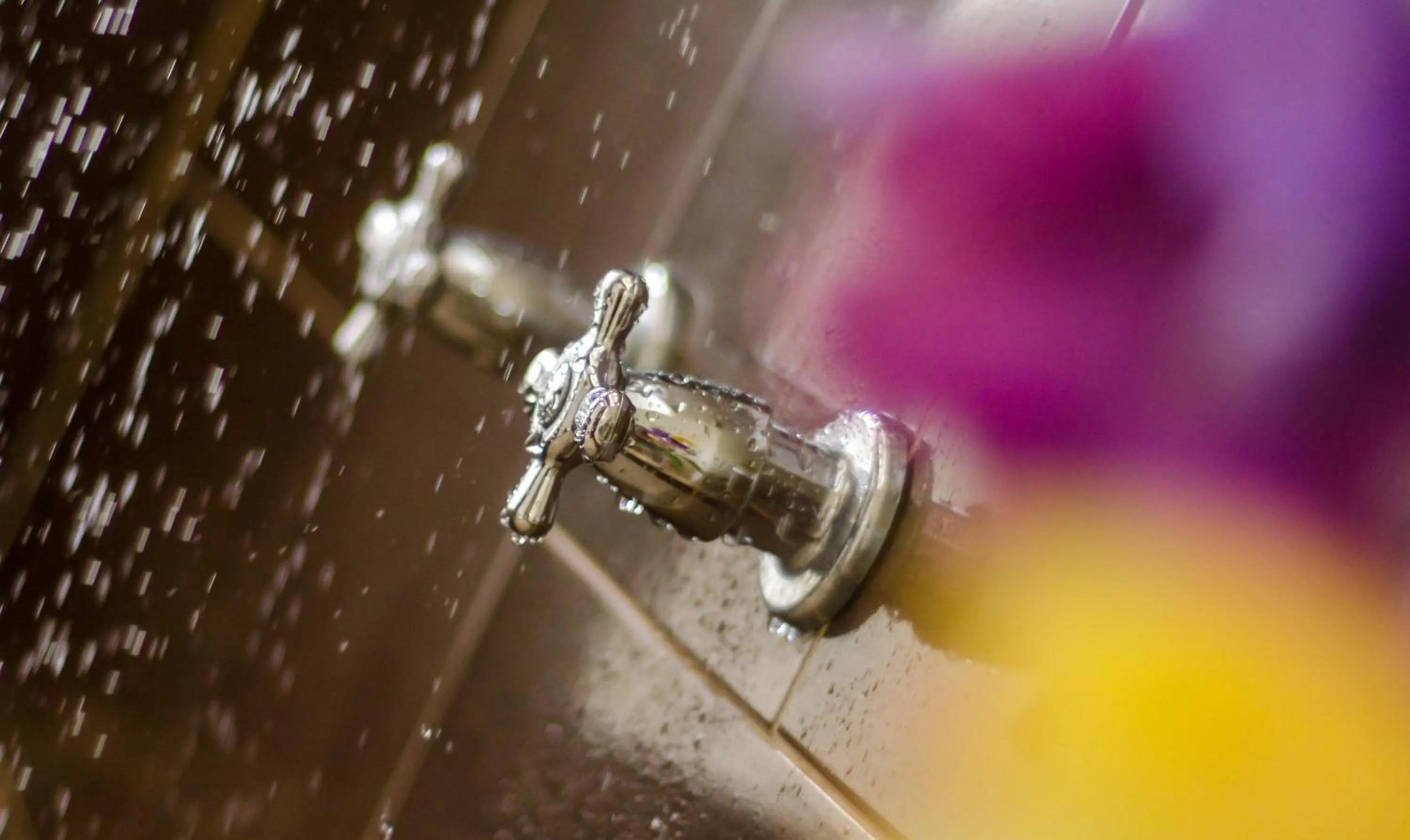 Bathroom in Casa de las Flores tropical