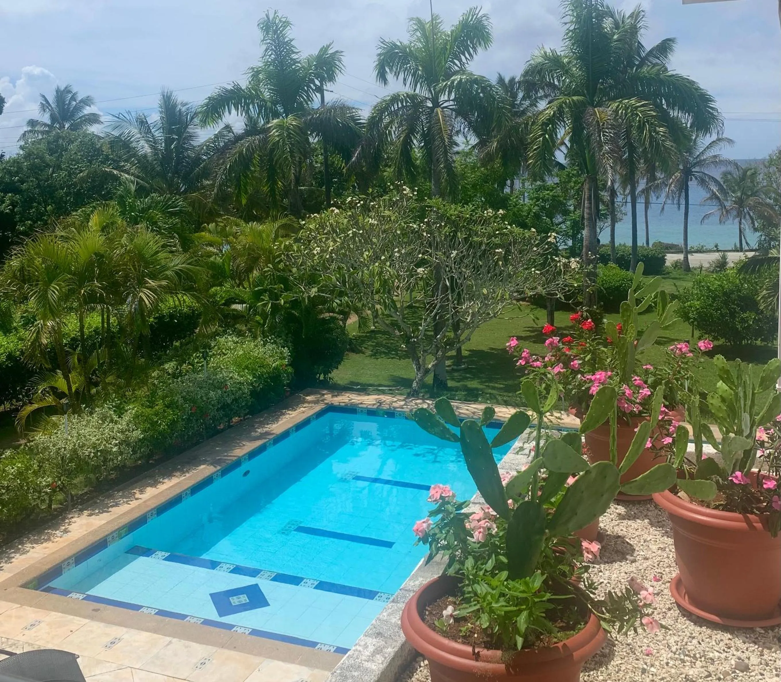 Swimming pool in Casa de las Flores tropical