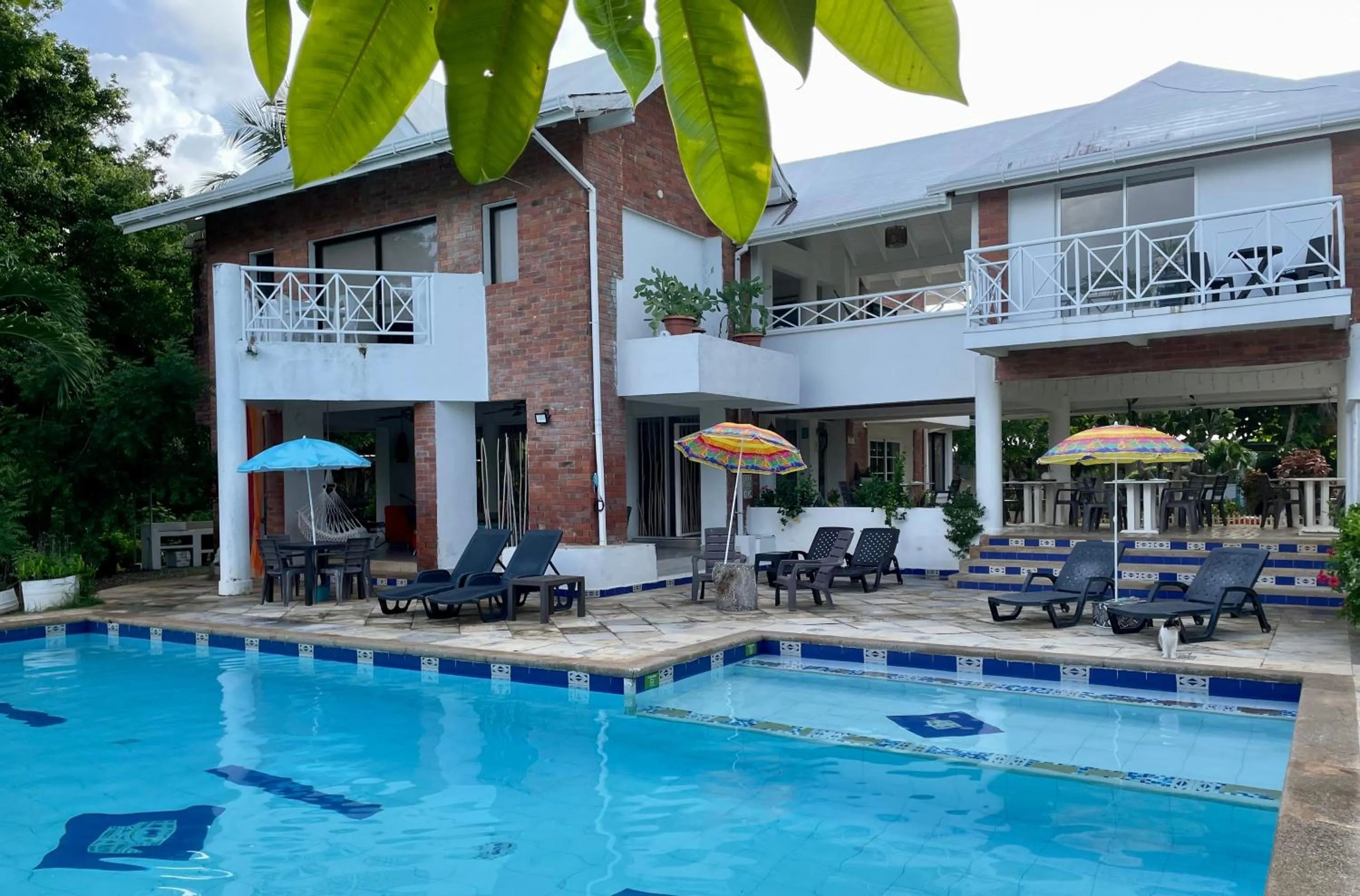 Swimming pool in Casa de las Flores tropical