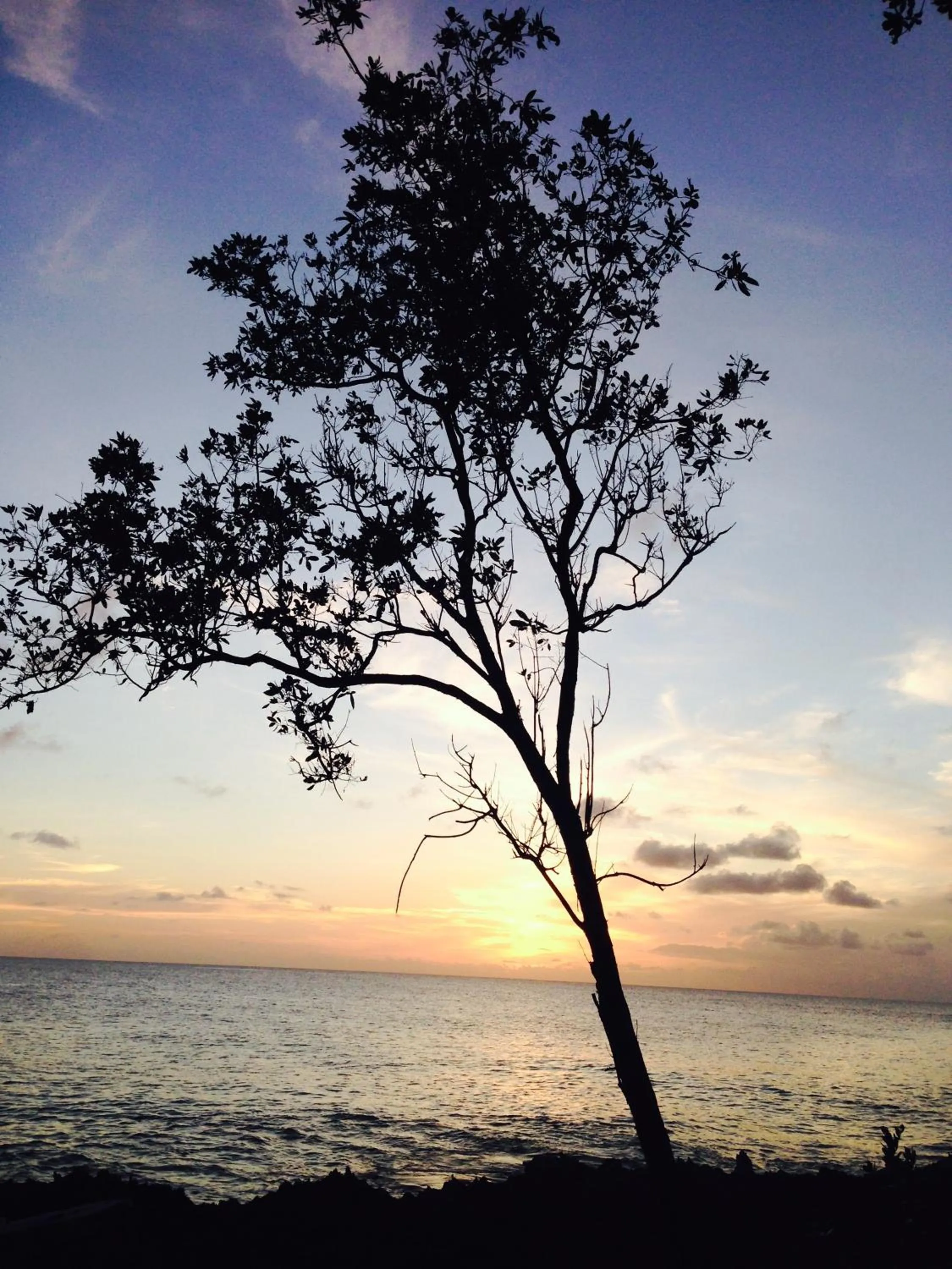 Off site in Casa de las Flores tropical