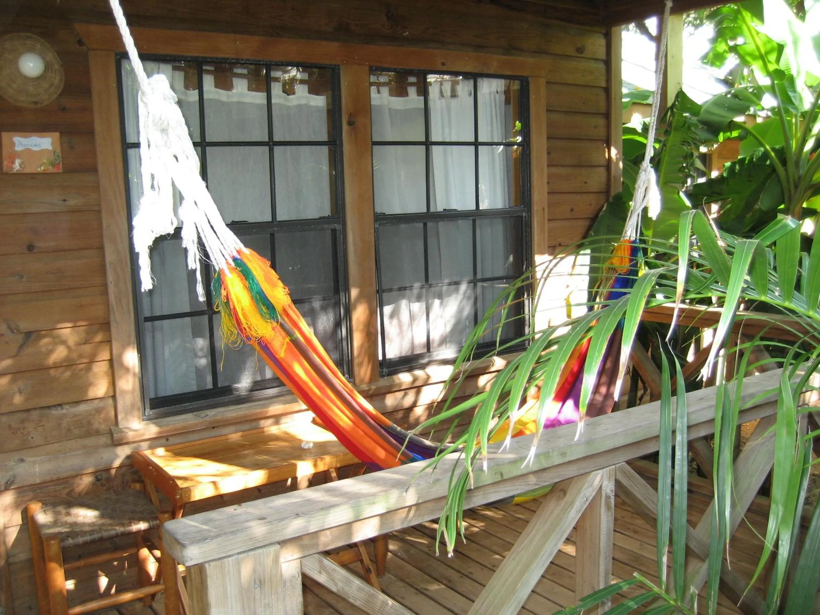 Patio in Las Rocas Resort and Dive Center