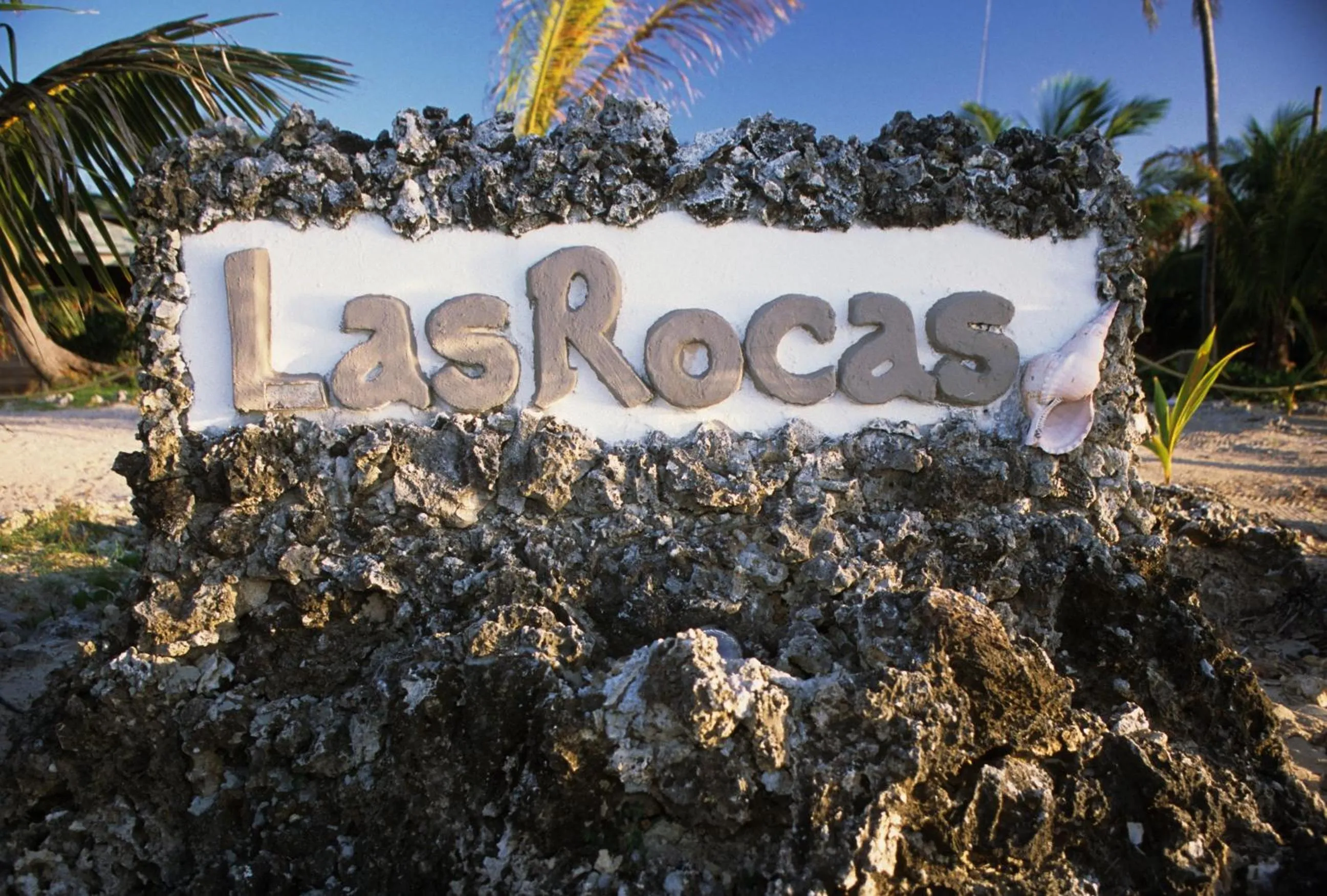 Day in Las Rocas Resort and Dive Center