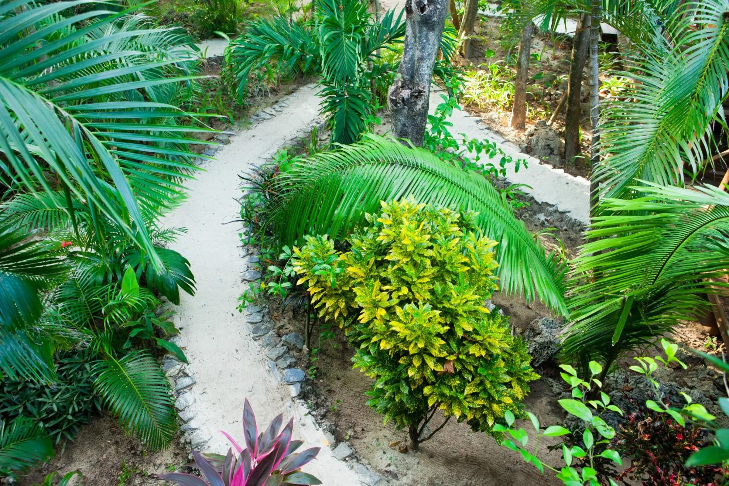 Day in Las Rocas Resort and Dive Center