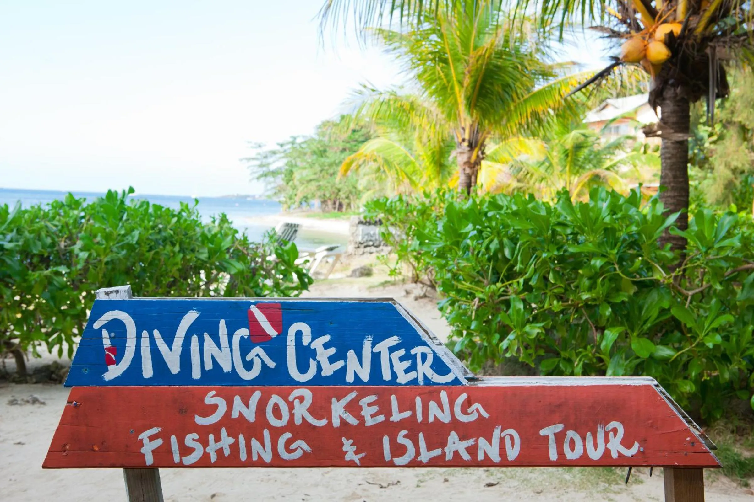 Day in Las Rocas Resort and Dive Center