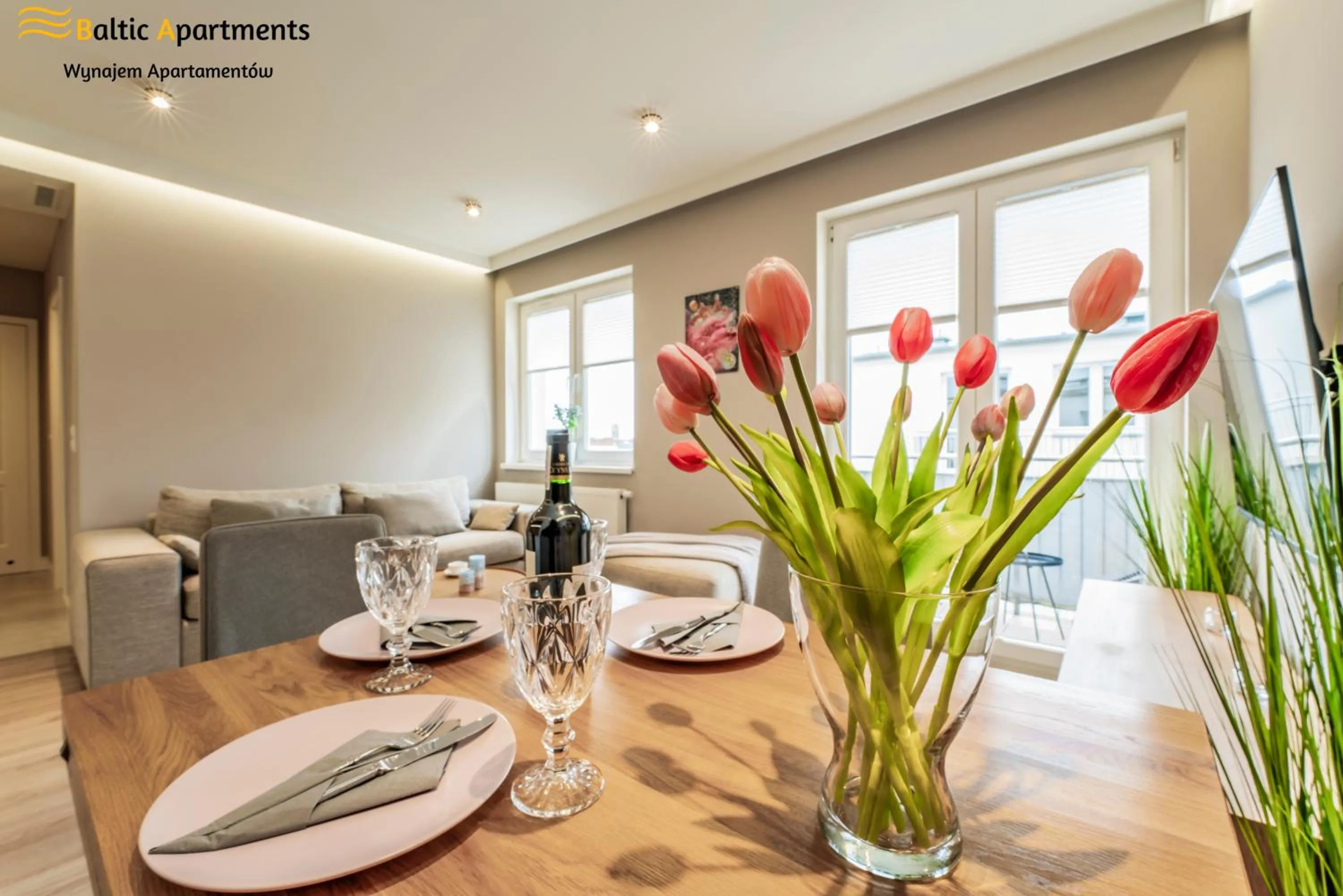 Living room in Baltic Apartments - Apartamenty Bałtyk