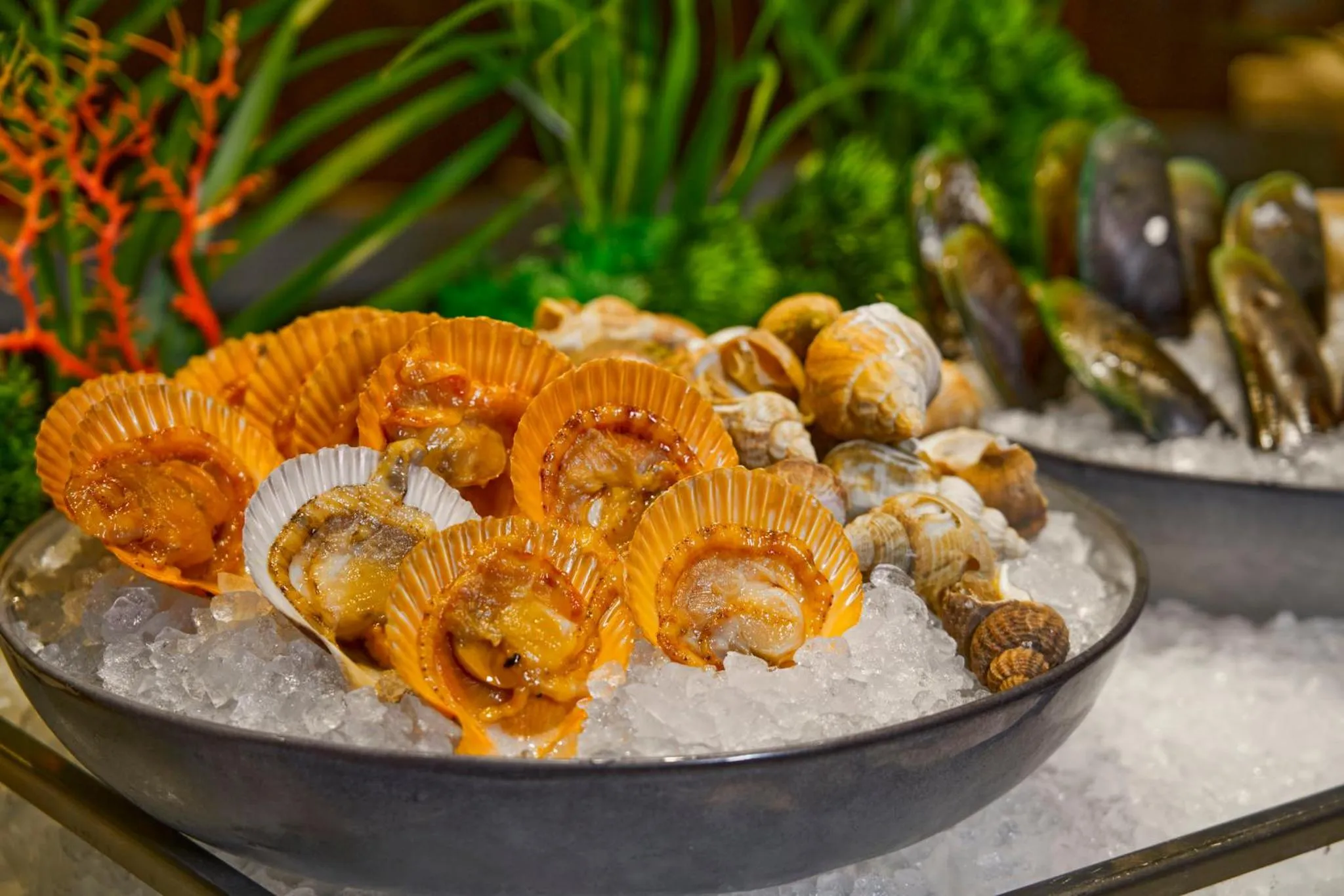 Restaurant/places to eat in Crowne Plaza Shenzhen Nanshan by IHG