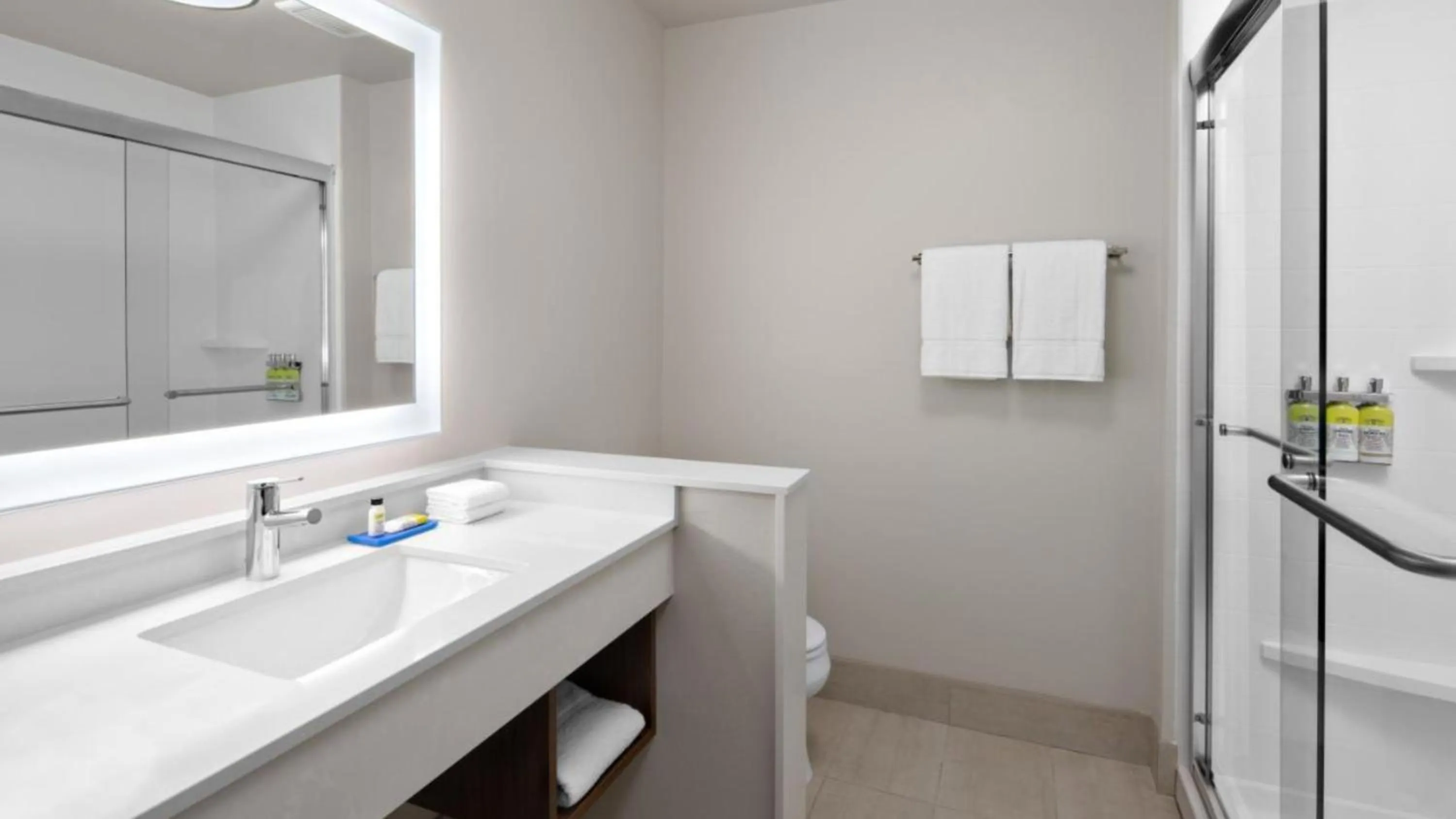 Bathroom in Holiday Inn Express & Suites - Nashville MetroCenter Downtown by IHG