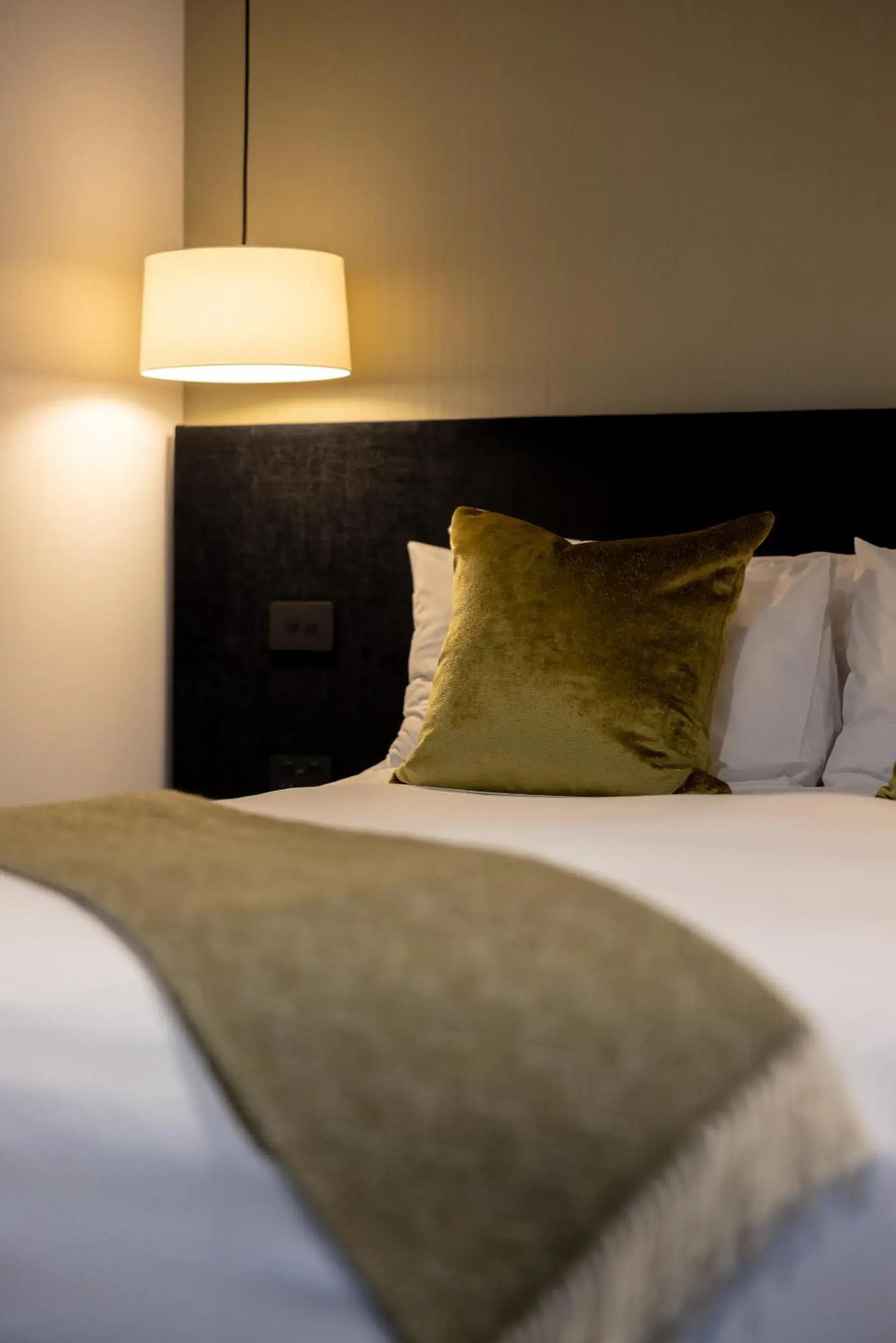 Boutique One-Bedroom Suite in Regent of Rotorua Boutique Hotel Boutique One-Bedroom Suite in Regent of Rotorua Boutique Hotel