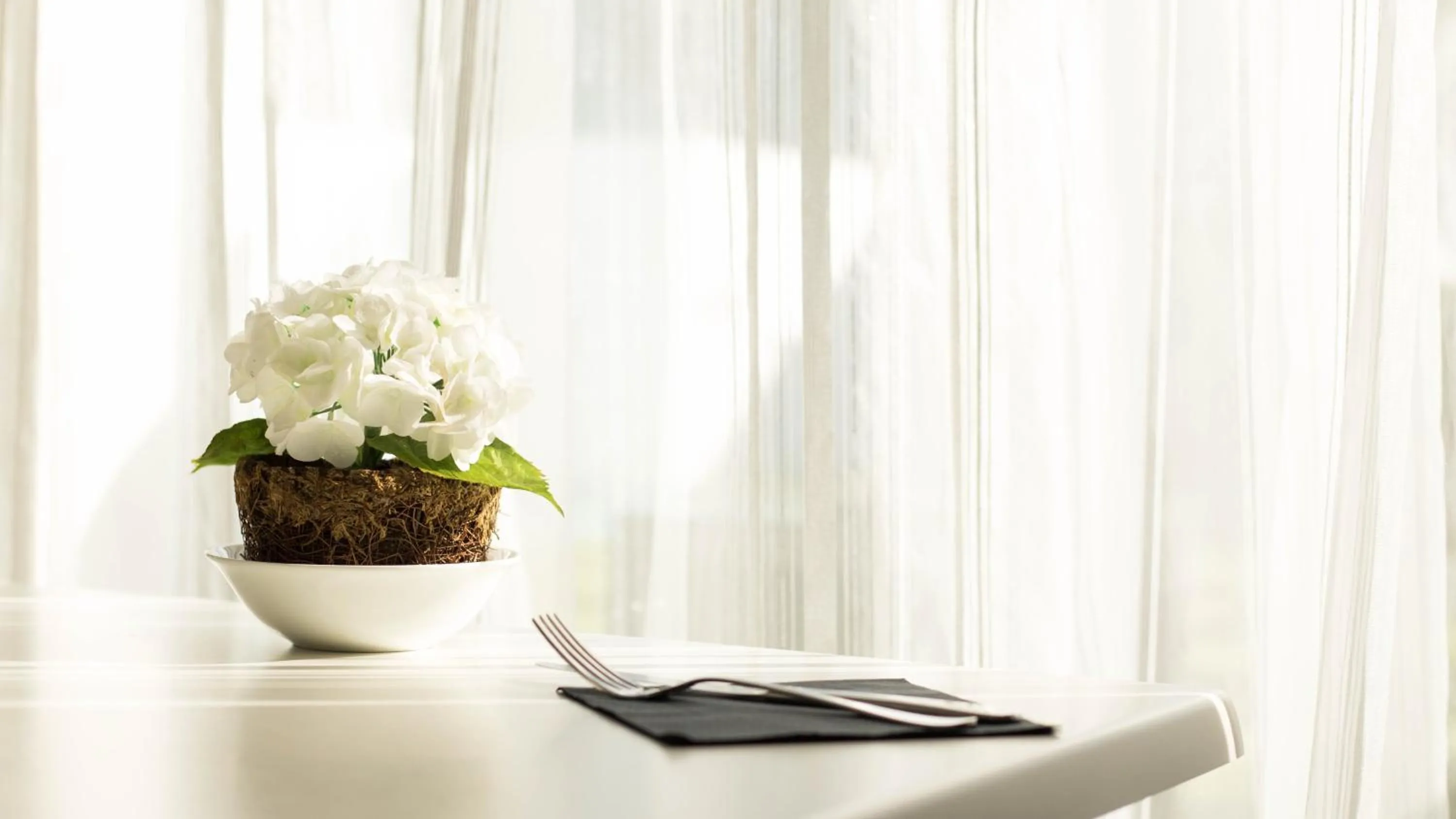 Restaurant/places to eat in Regent of Rotorua Boutique Hotel