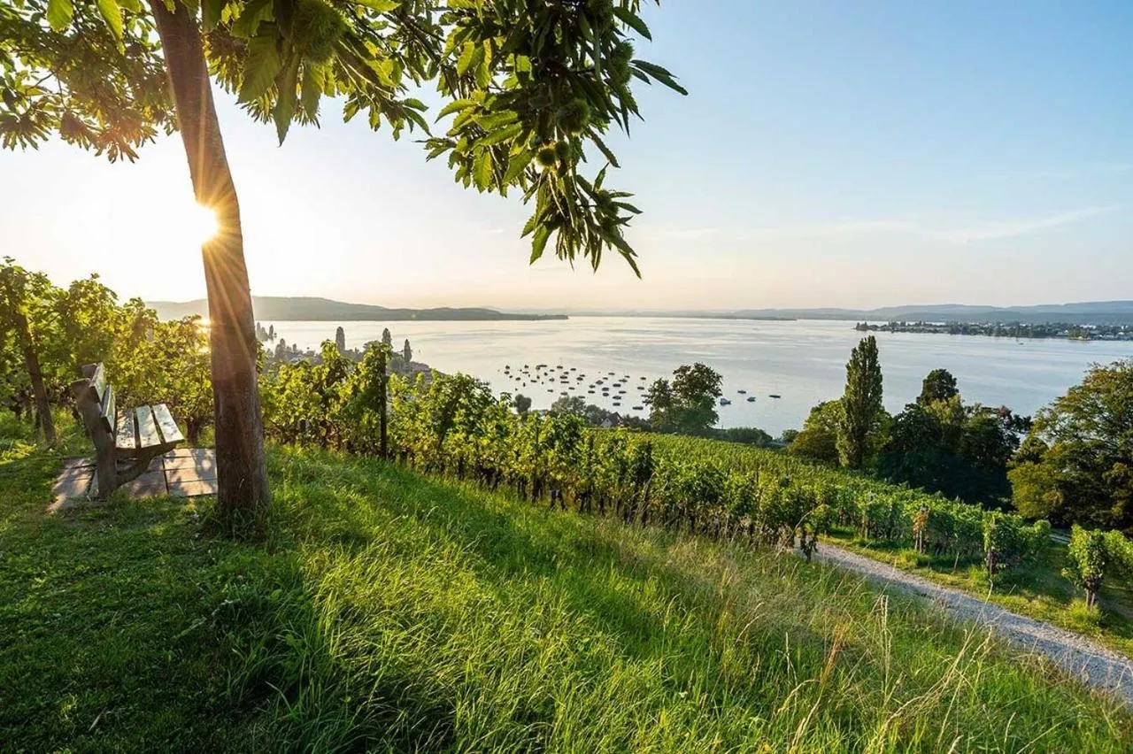 Lake view in Hotel Arenenberg