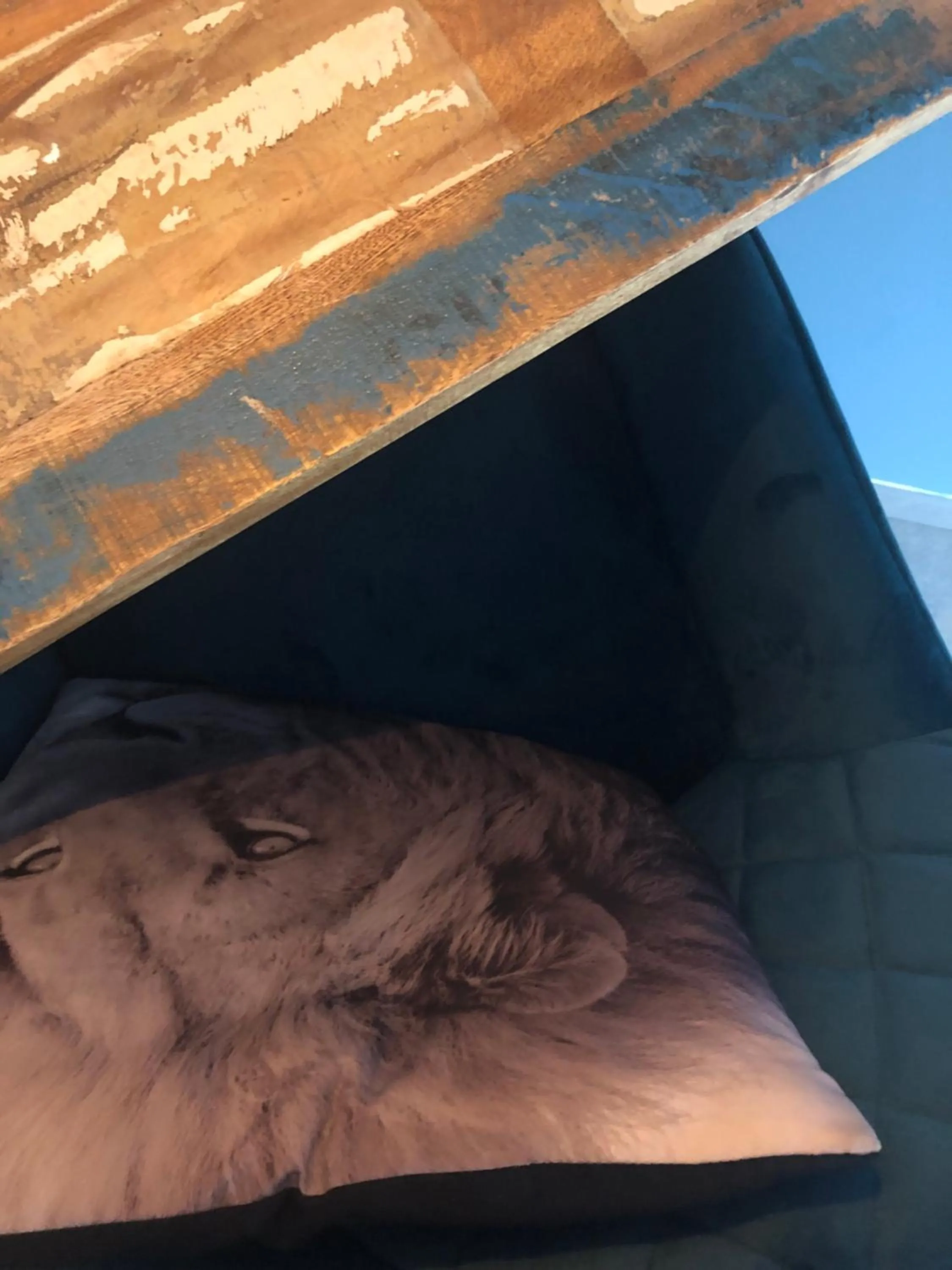 Decorative detail in Selemo B&B - Business and breakfast