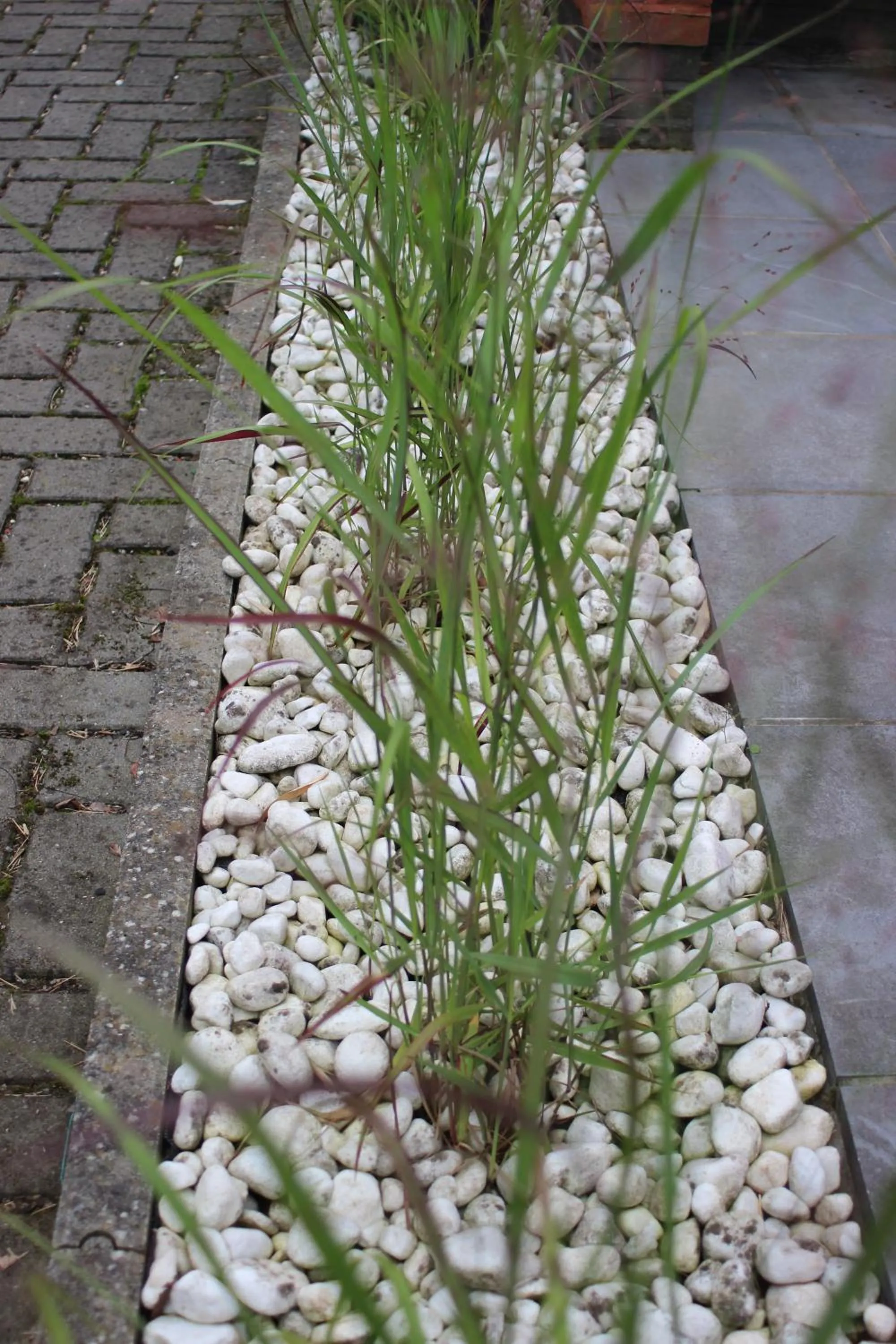 Balcony/Terrace in Selemo B&B - Business and breakfast