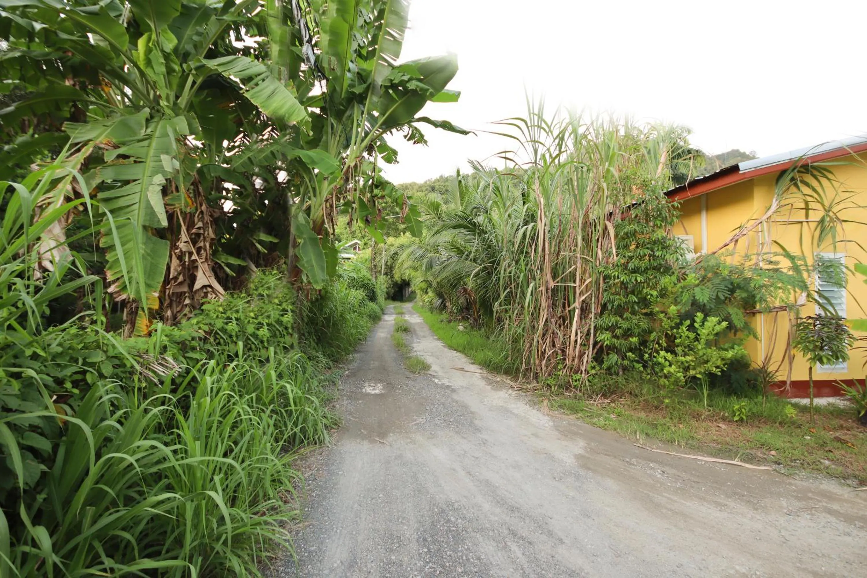 Facade/entrance in Ban Elephant Blanc Bungalow