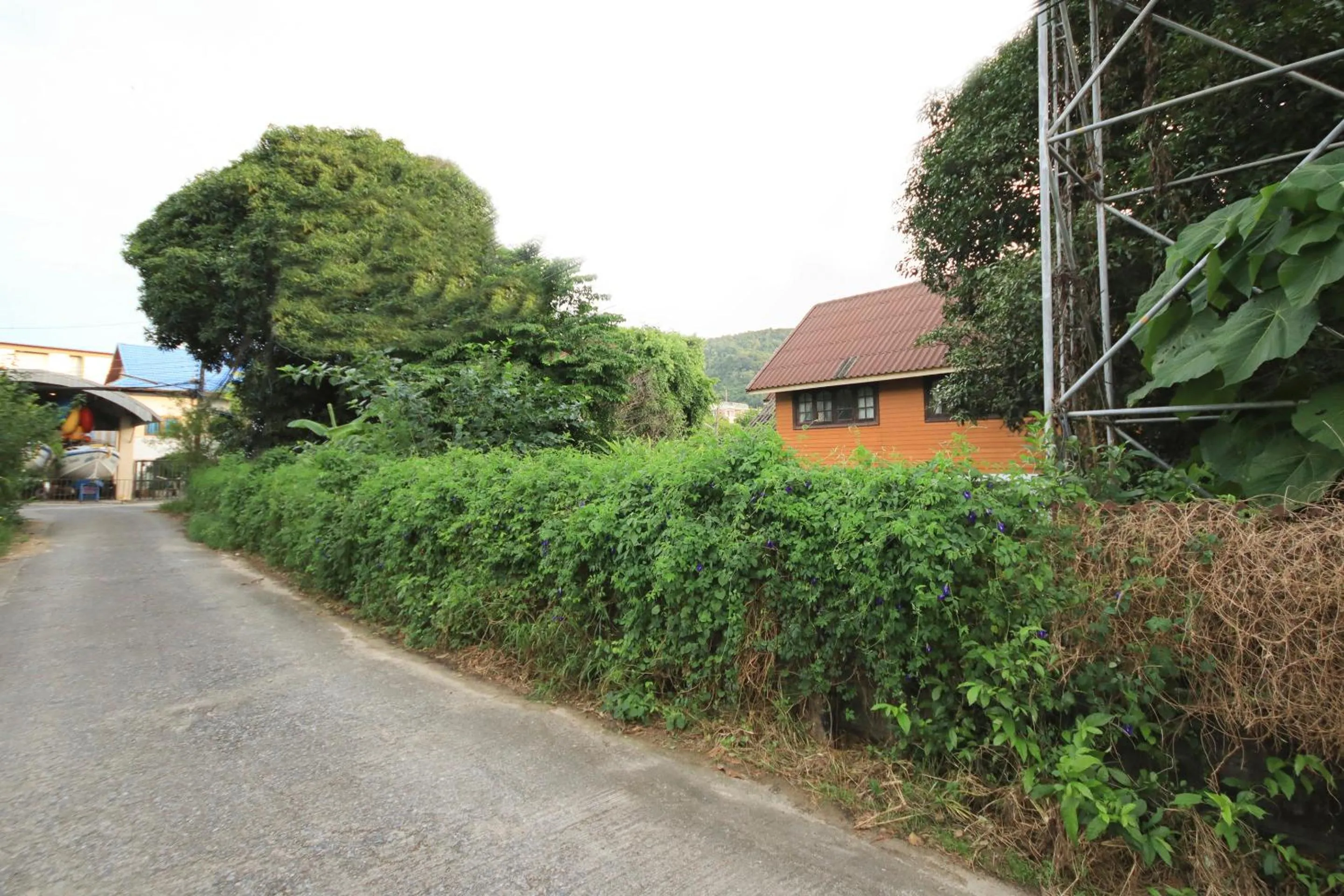 Facade/entrance in Ban Elephant Blanc Bungalow
