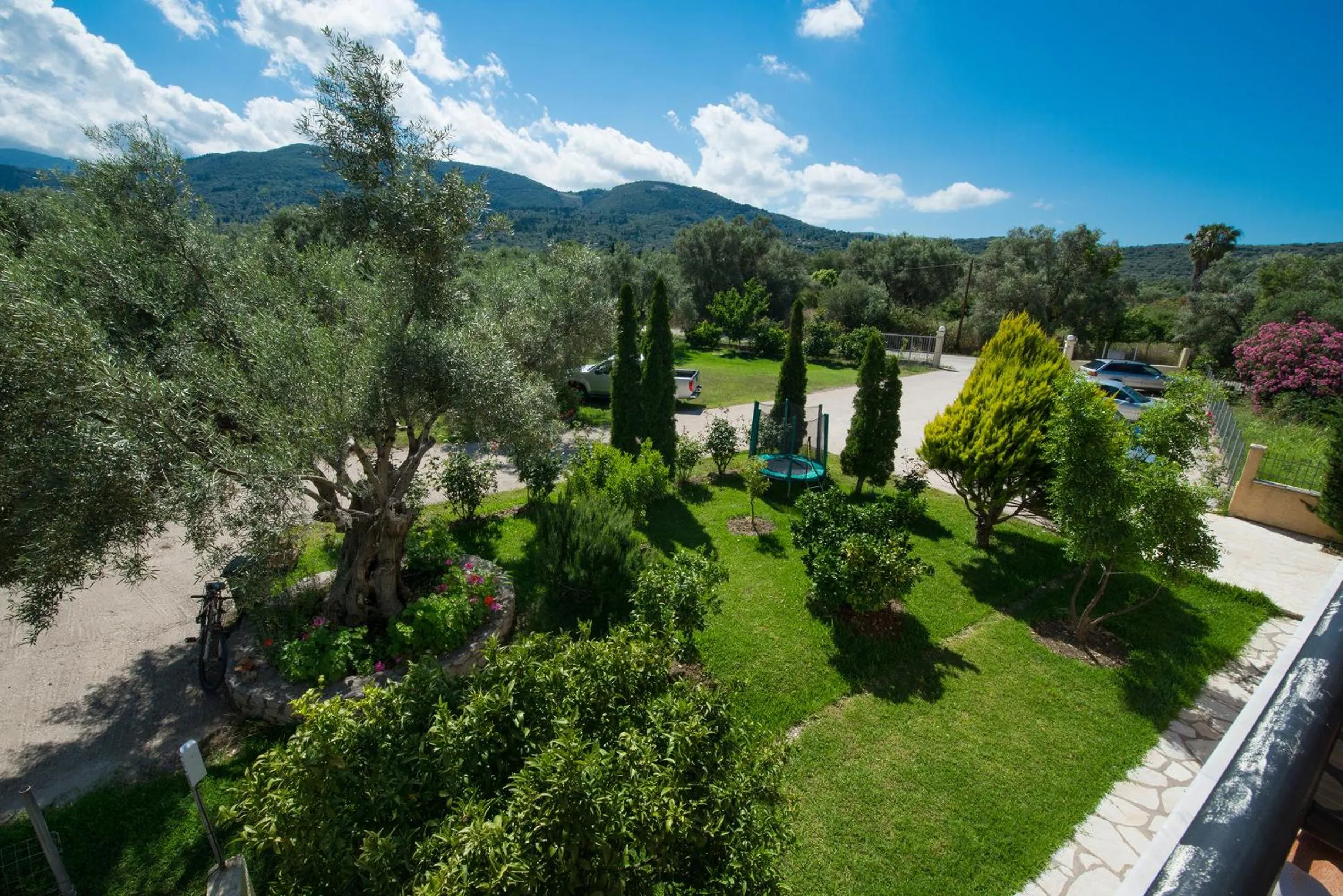 Garden in Christina Studios