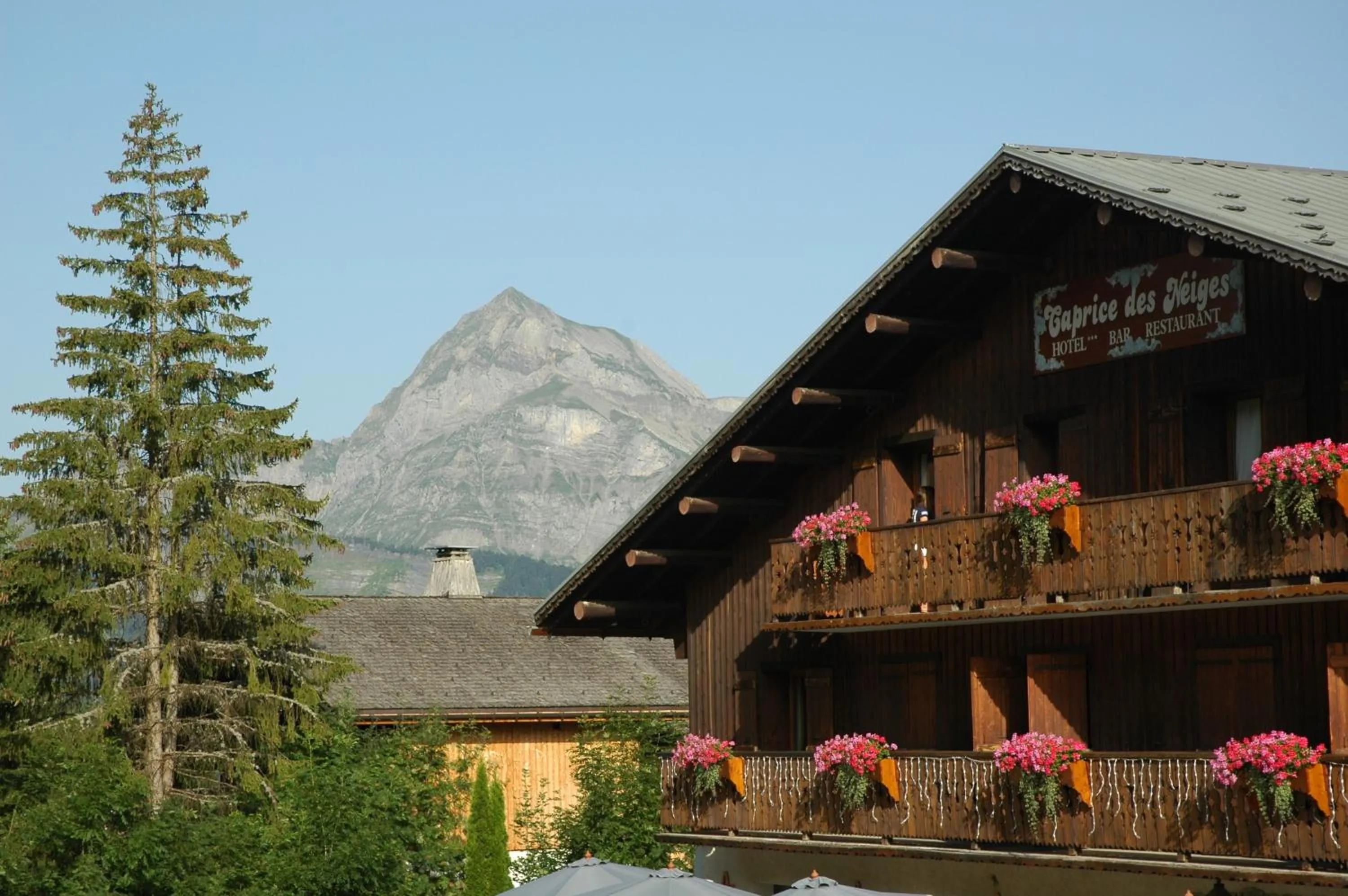 View (from property/room) in Le Caprice Des Neiges