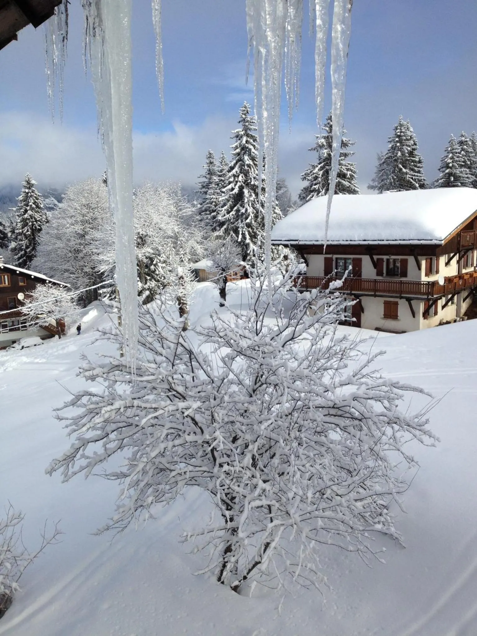 Winter in Le Caprice Des Neiges