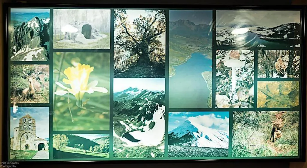 HOTEL EL ROBLE PALENTINO