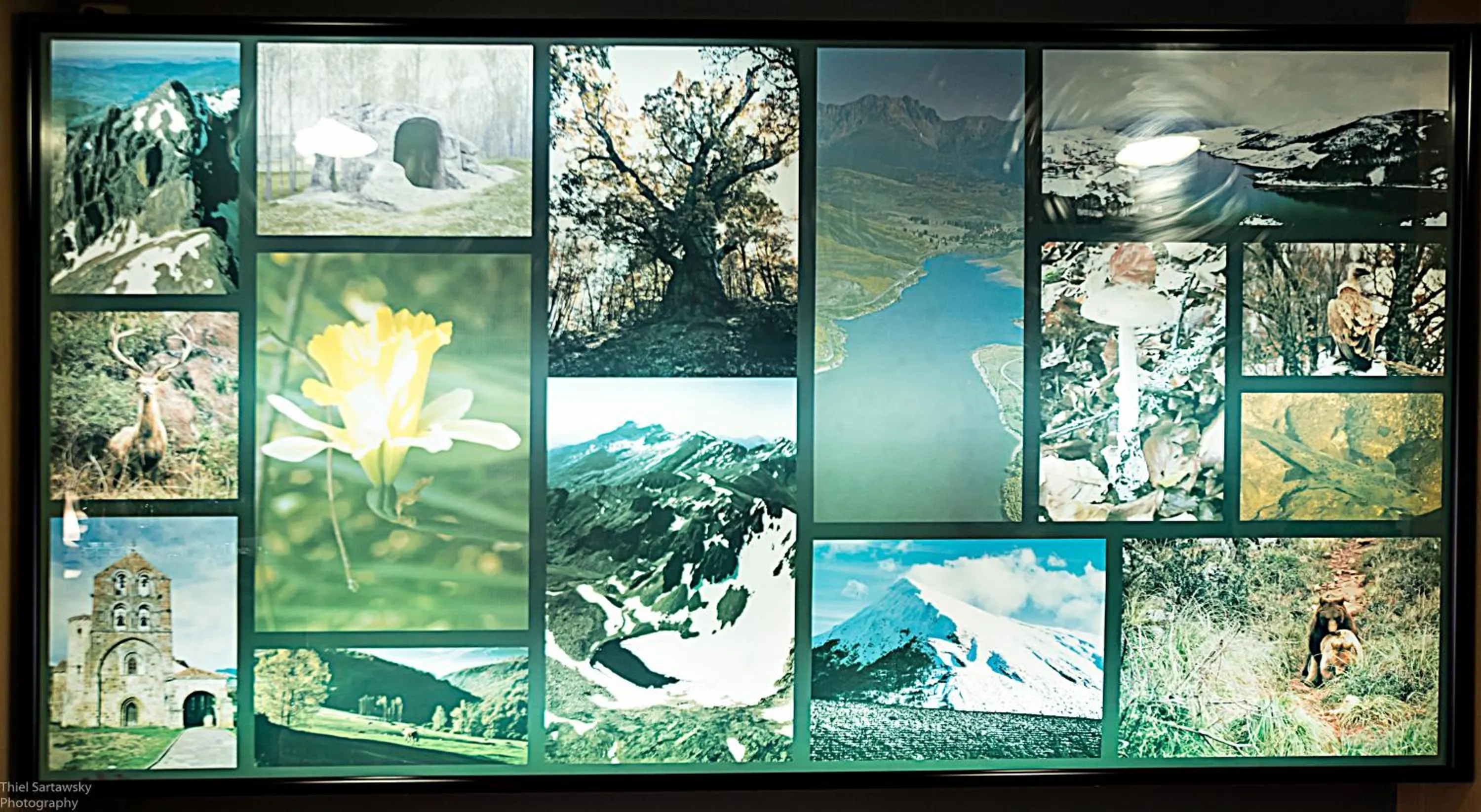 Property logo or sign in Hotel El Roble