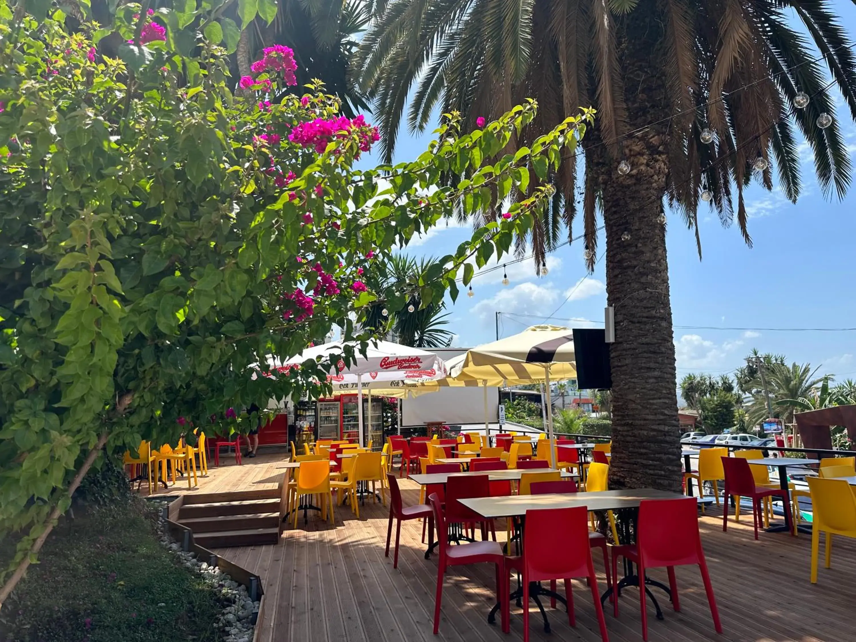 Restaurant/places to eat in Vila Duraku Restaurant/places to eat in Vila Duraku