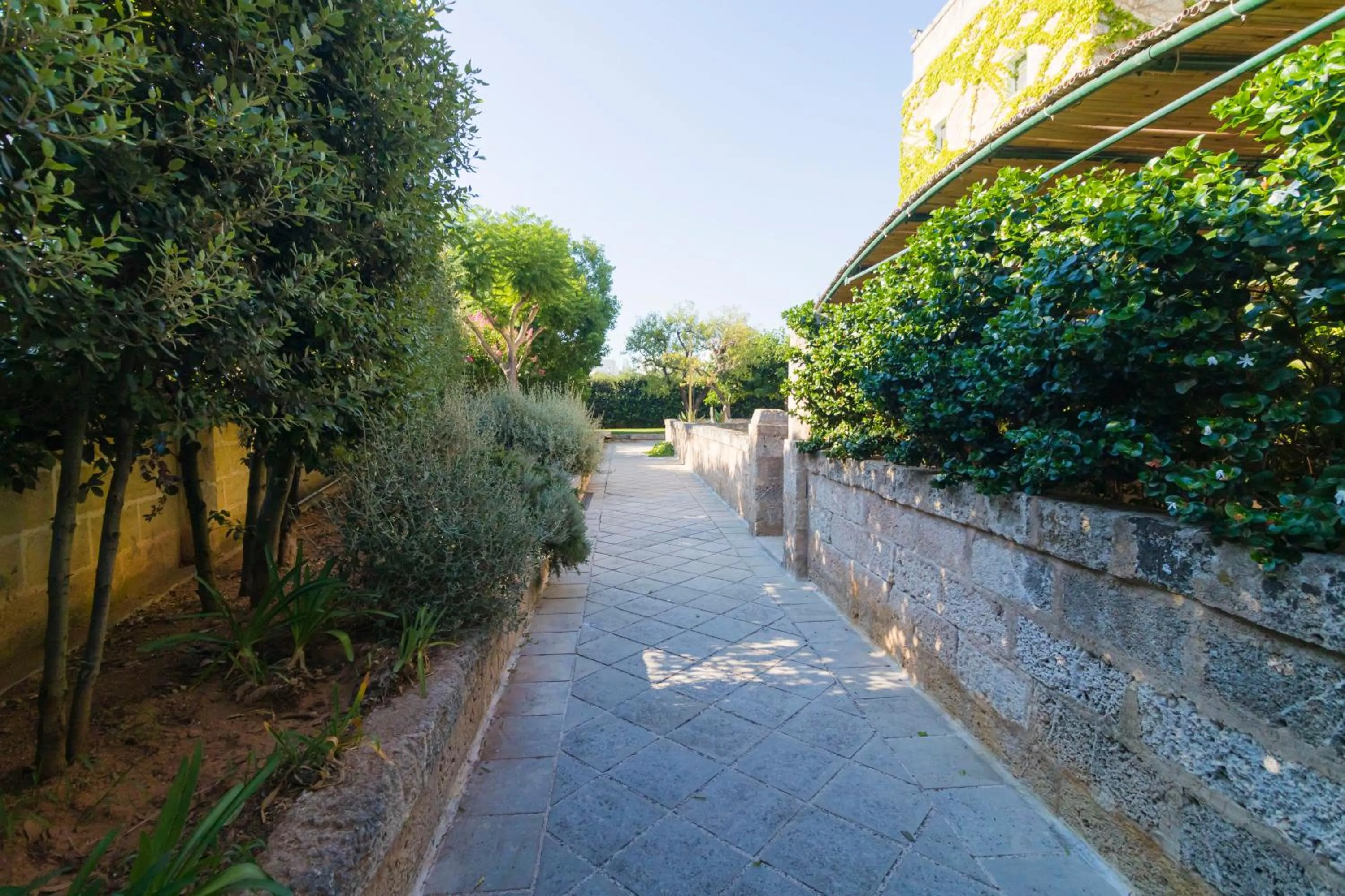 Garden in Villa Romasi