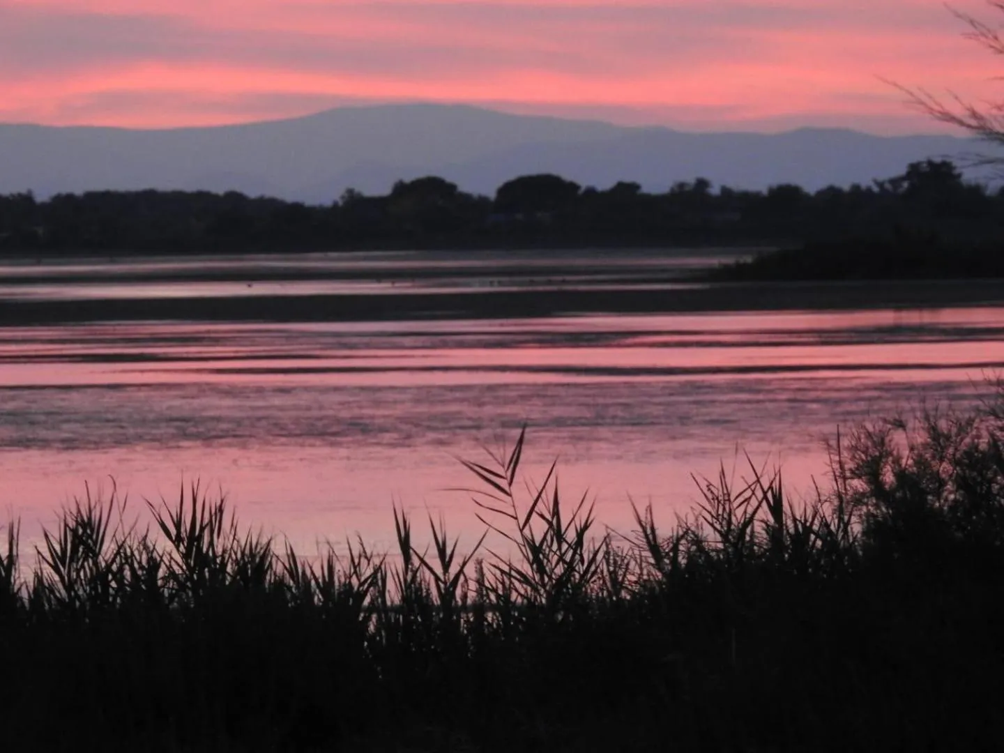 Natural landscape in Hotel Les Palmiers En Camargue
