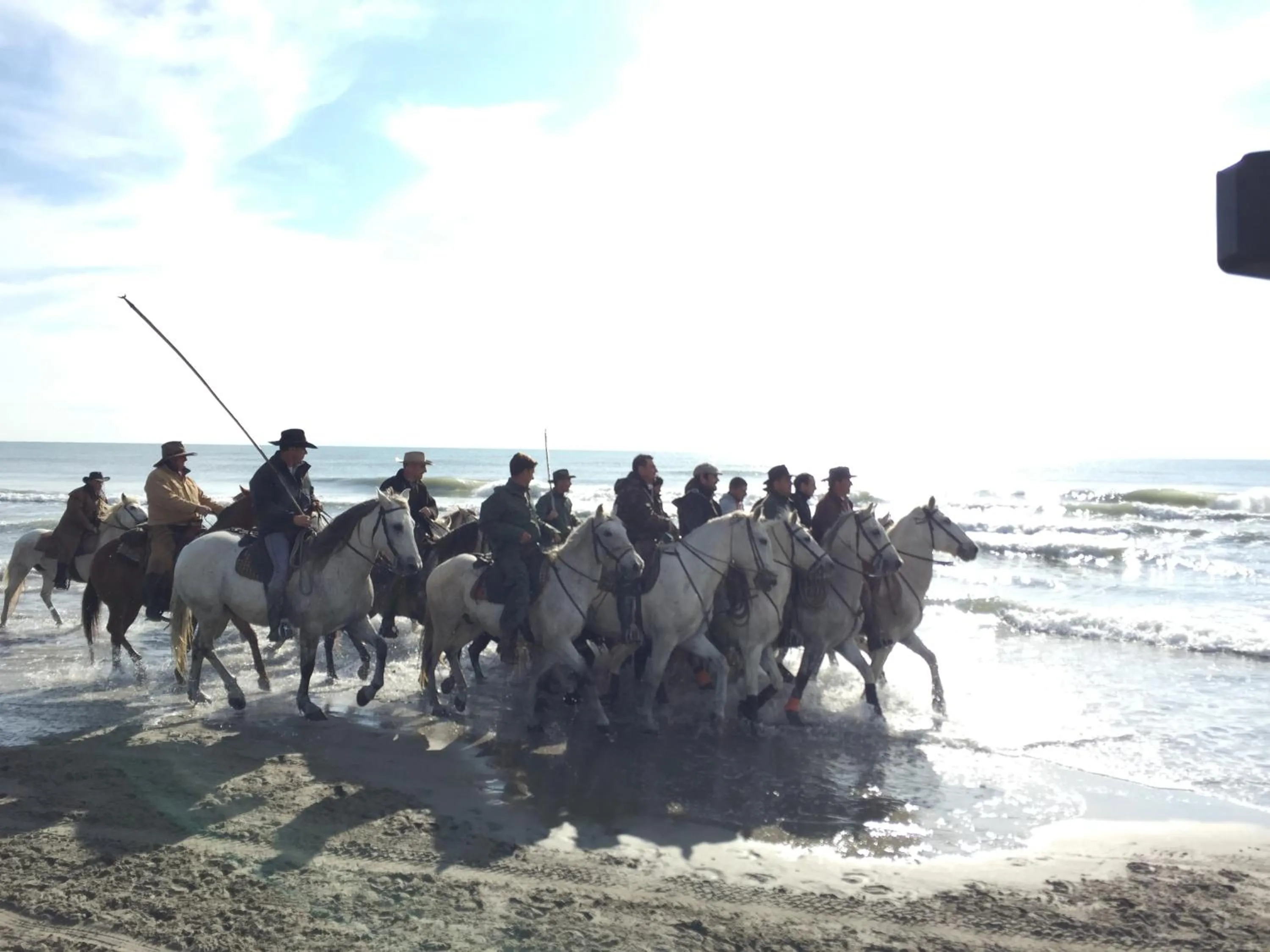 Area and facilities in Hotel Les Palmiers En Camargue