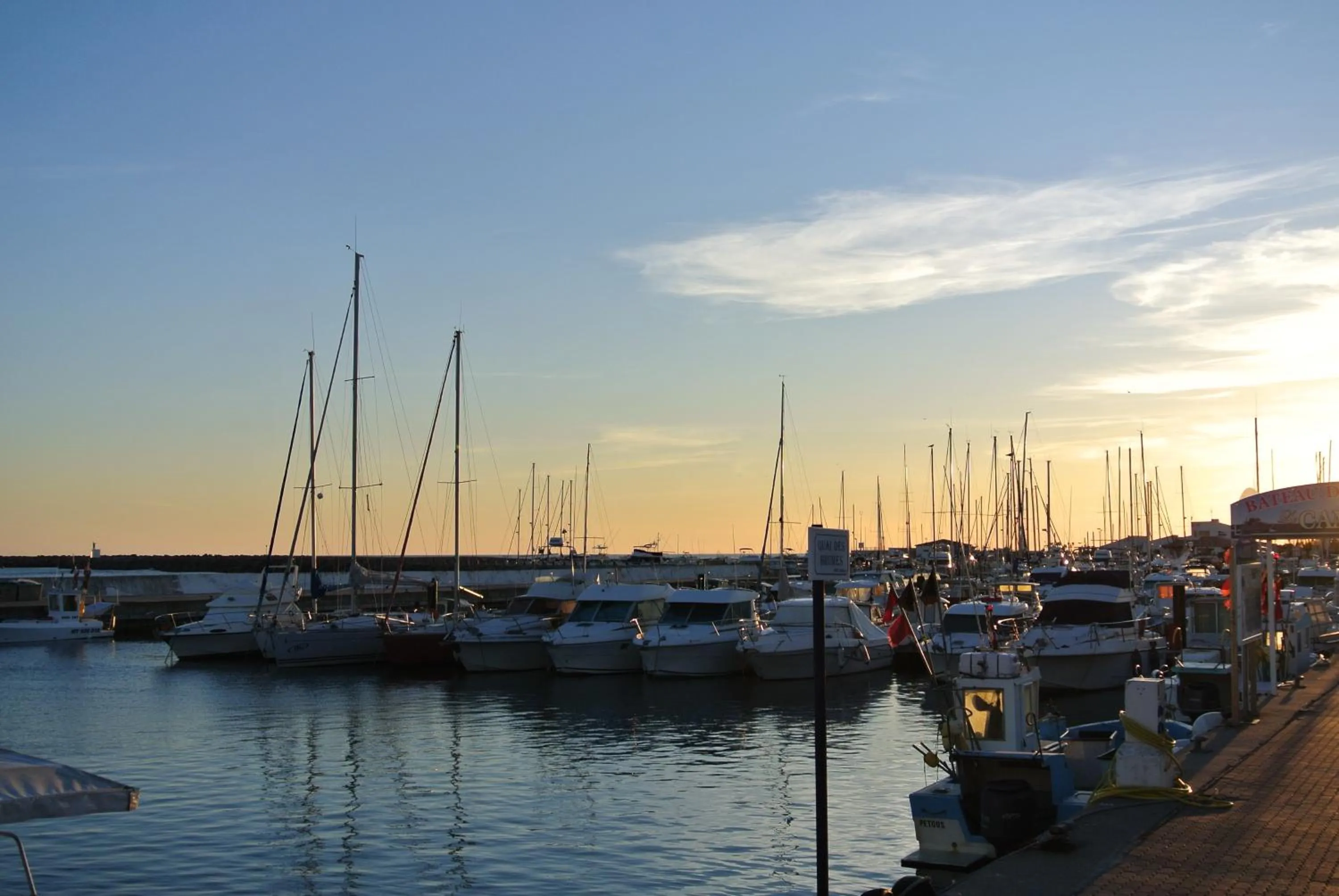 Area and facilities in Hotel Les Palmiers En Camargue