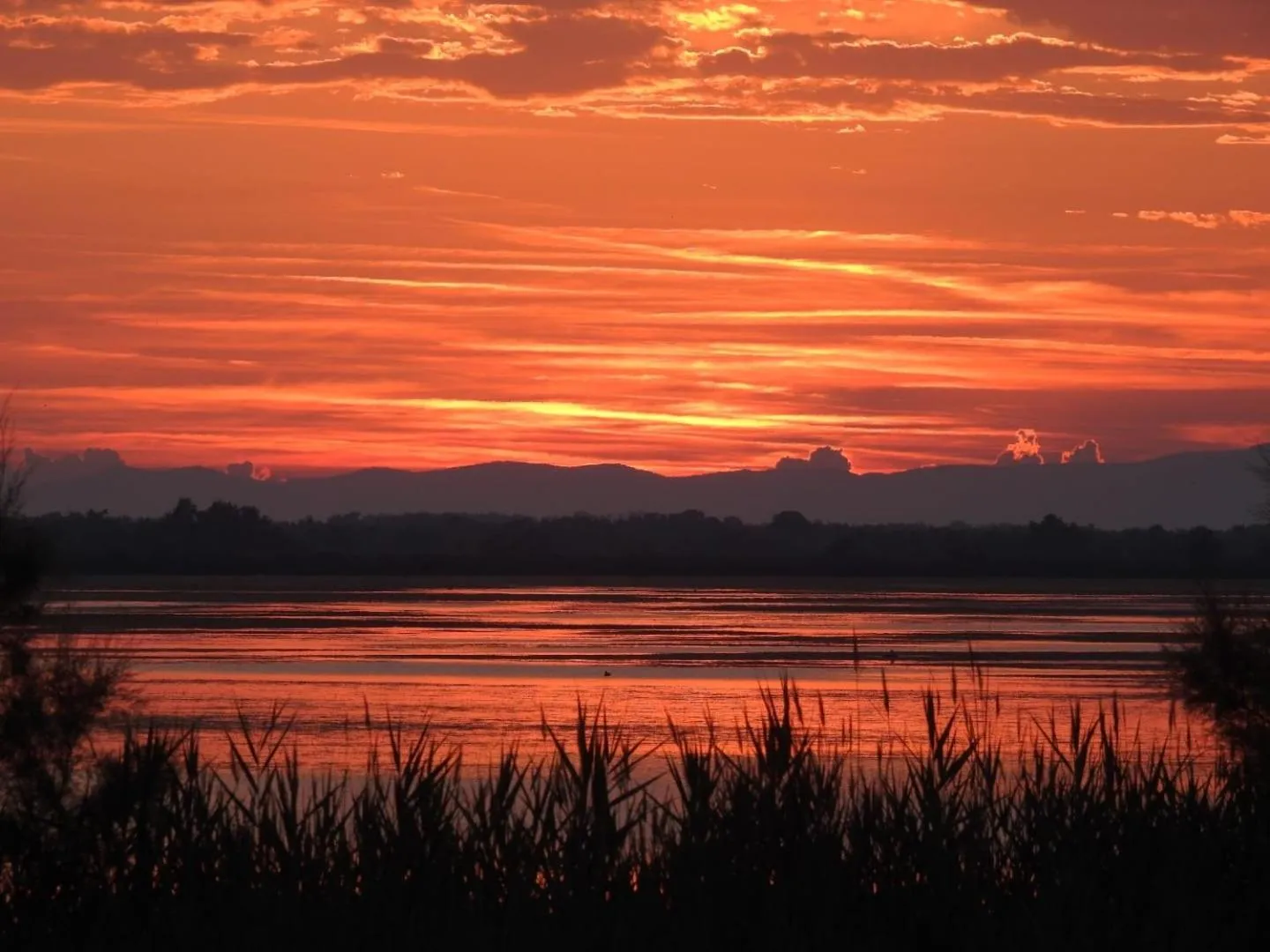 On site in Hotel Les Palmiers En Camargue