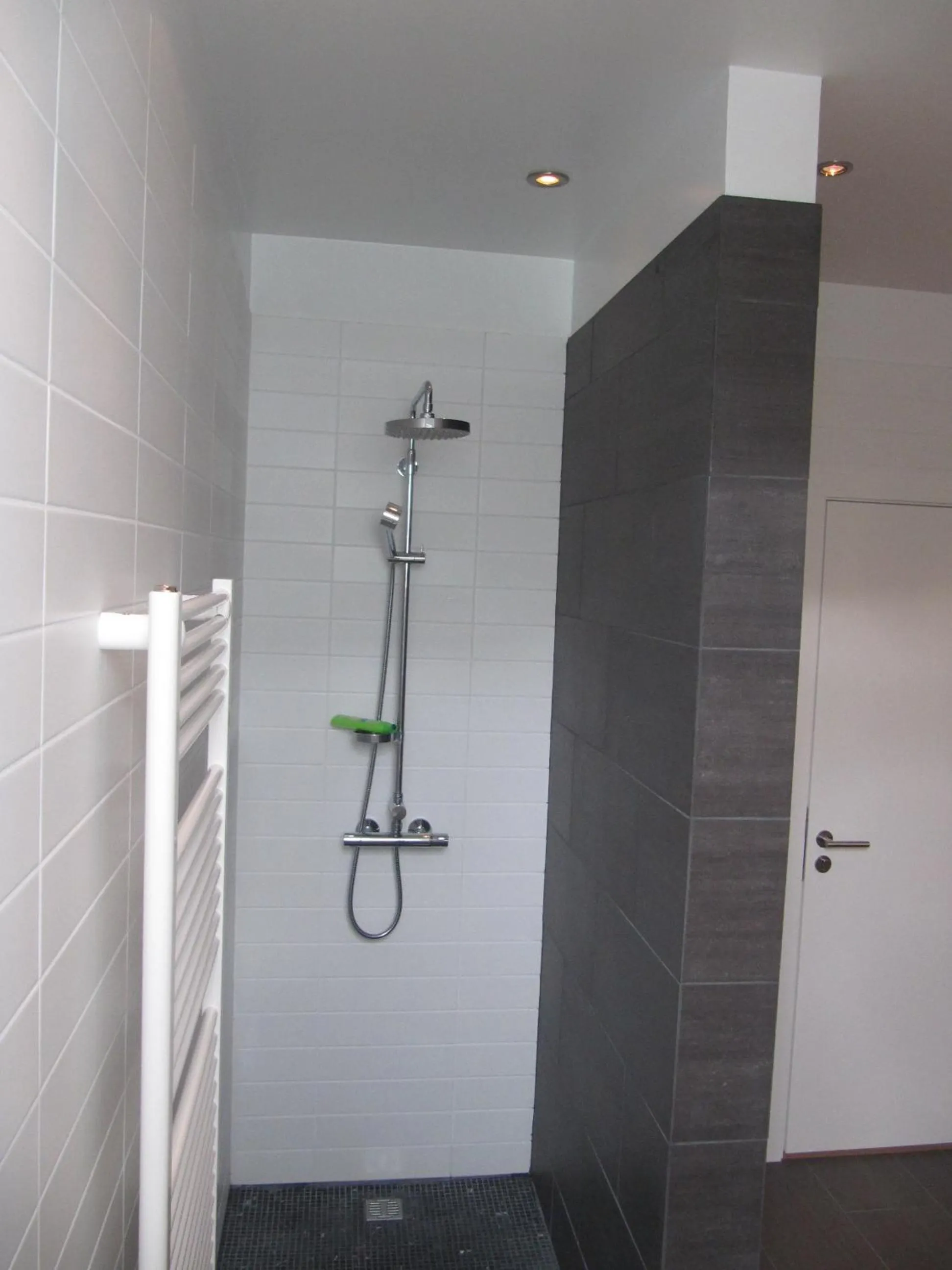 Bathroom in Seydisfjördur Apartment