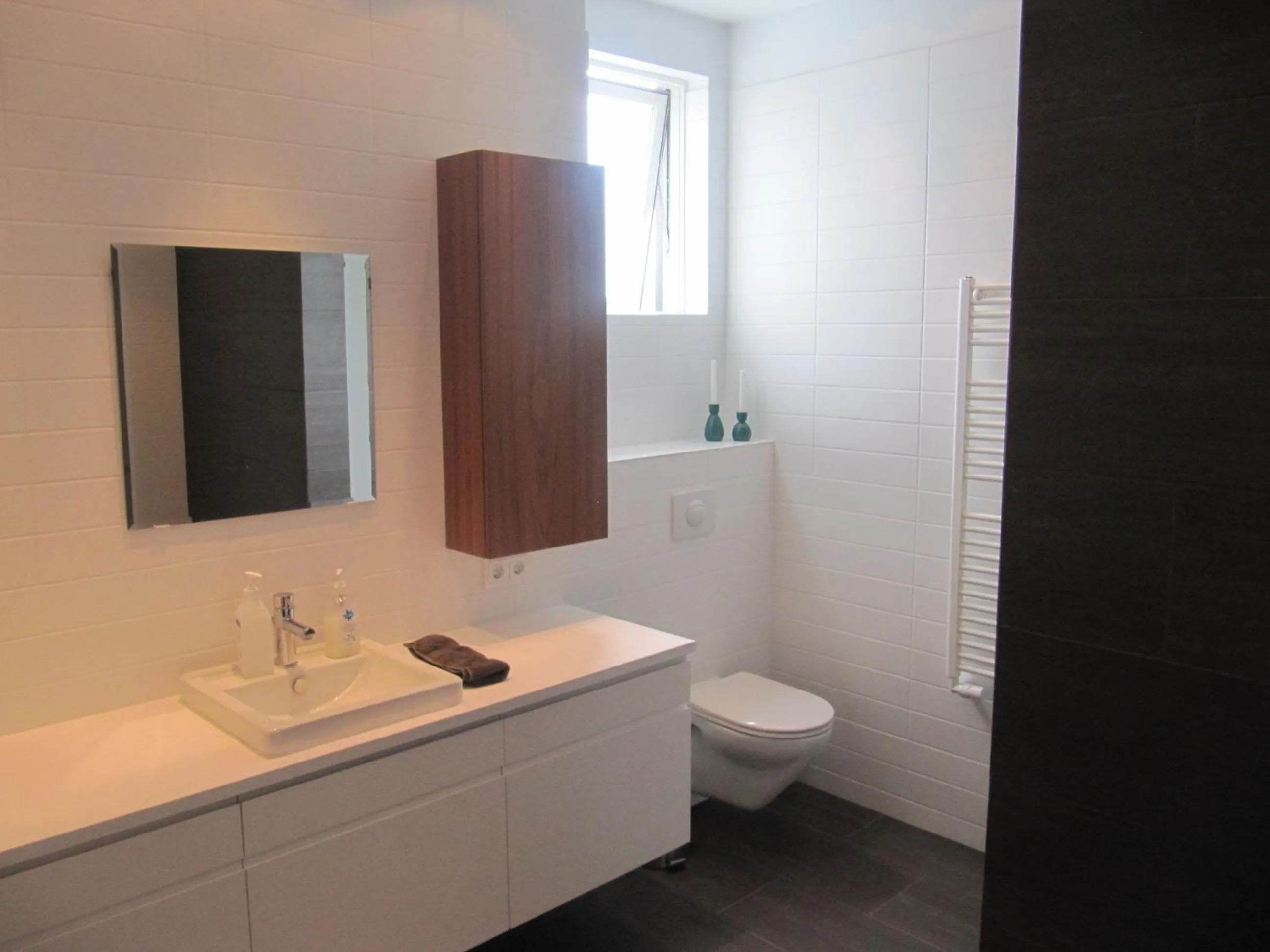 Bathroom in Seydisfjördur Apartment