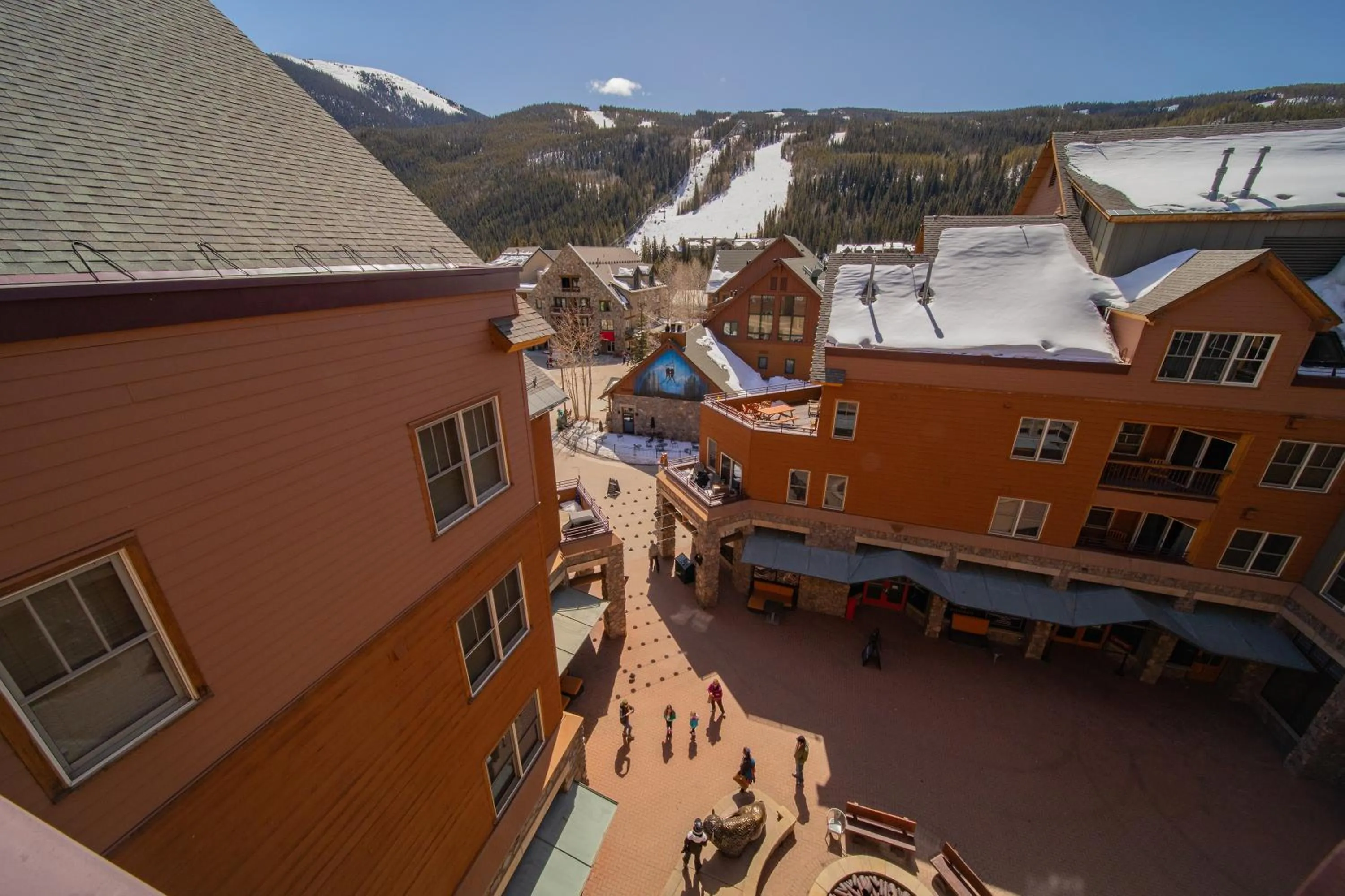 Buffalo Lodge 8412 by SummitCove Lodging