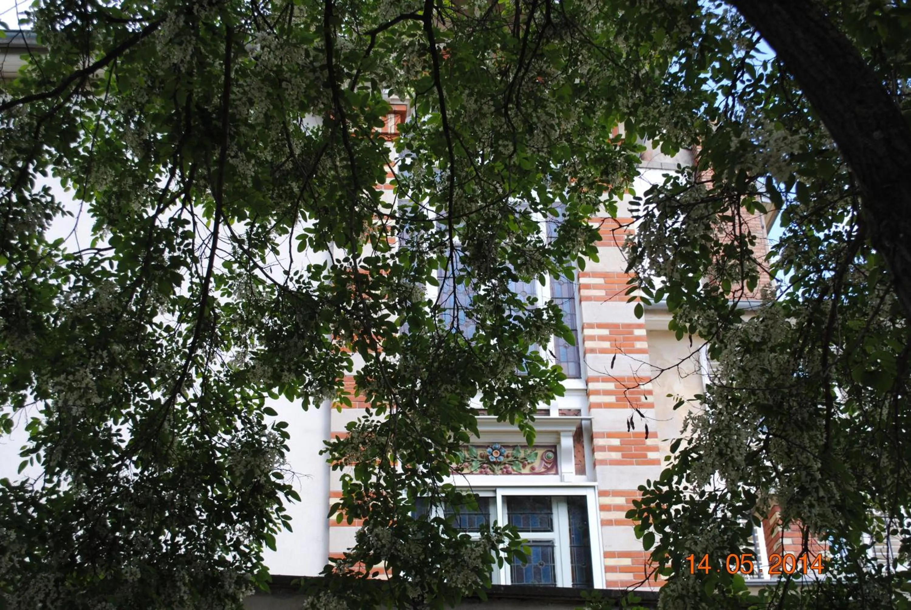 View (from property/room) in "Maison Schott" Studio