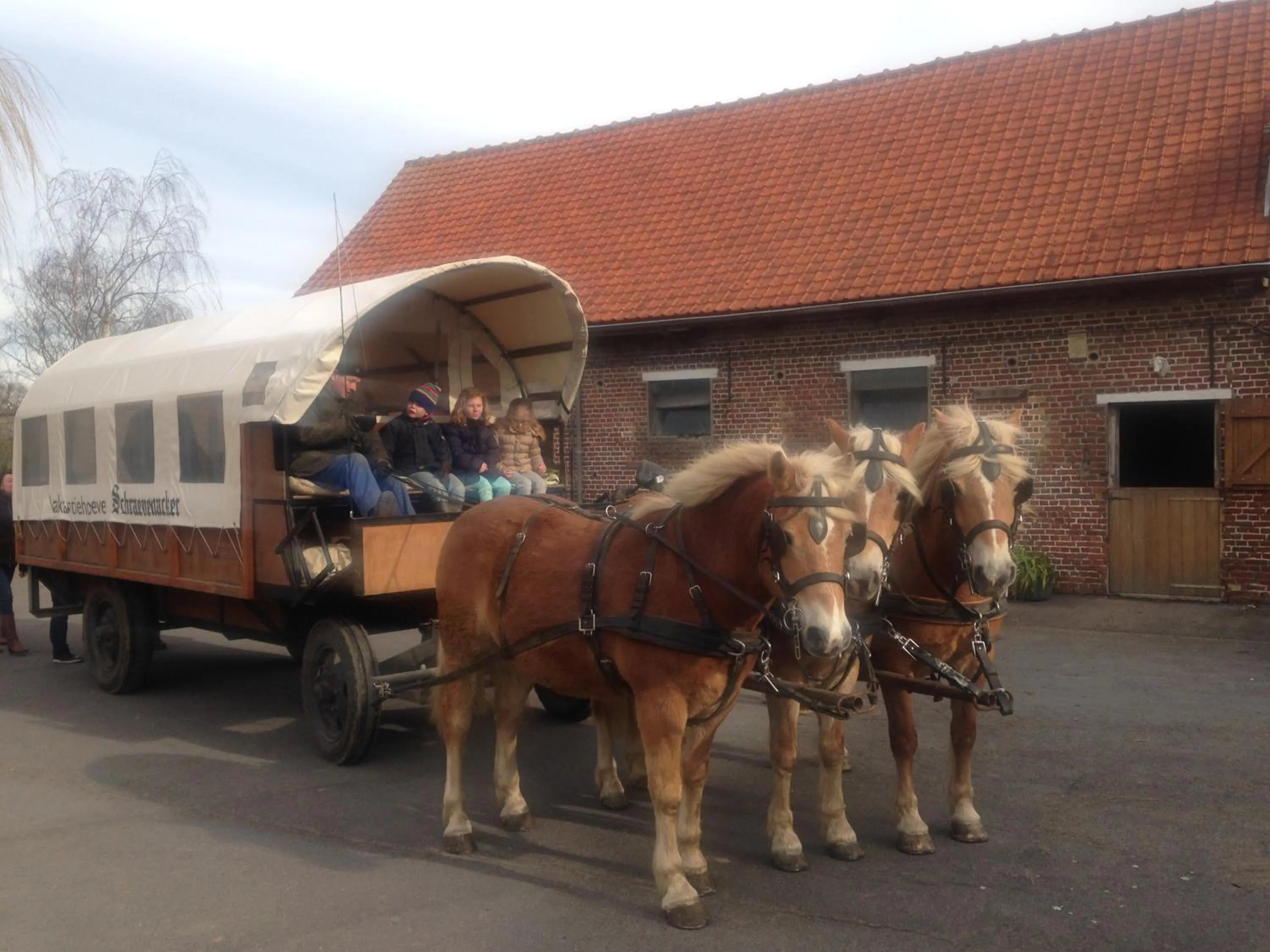 Entertainment in Gasthof Schraevenacker
