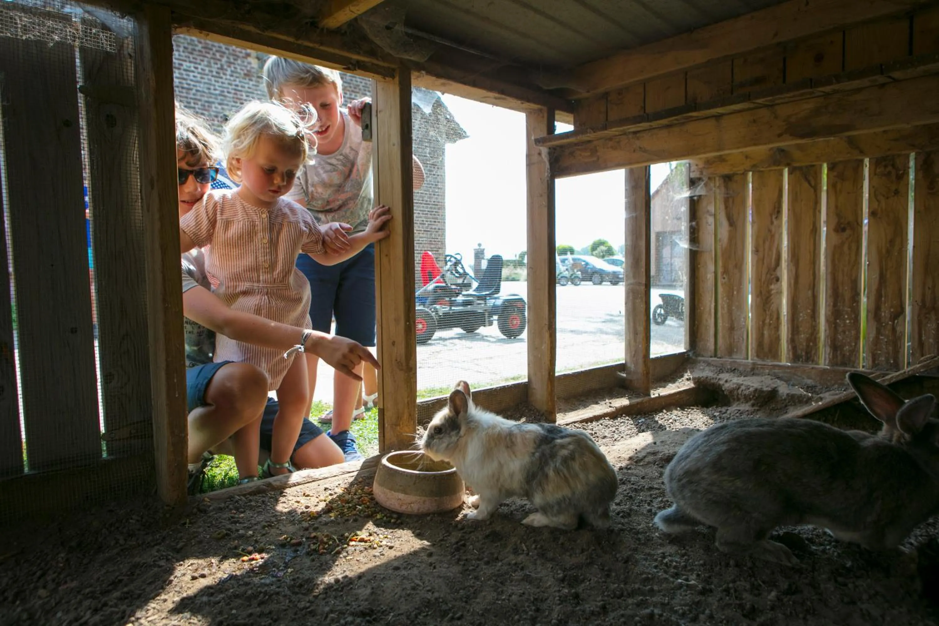 Activities in Gasthof Schraevenacker