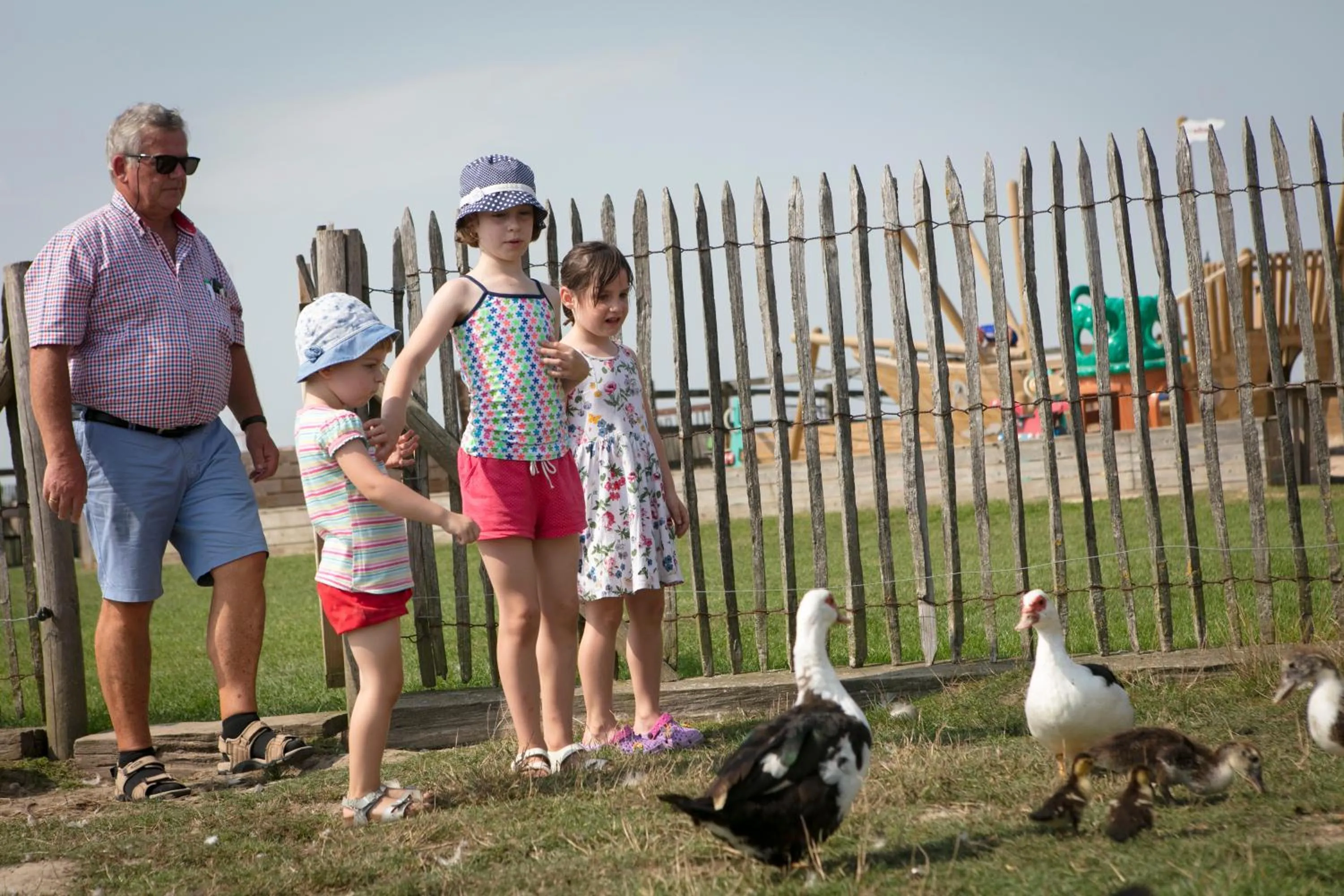 Activities in Gasthof Schraevenacker