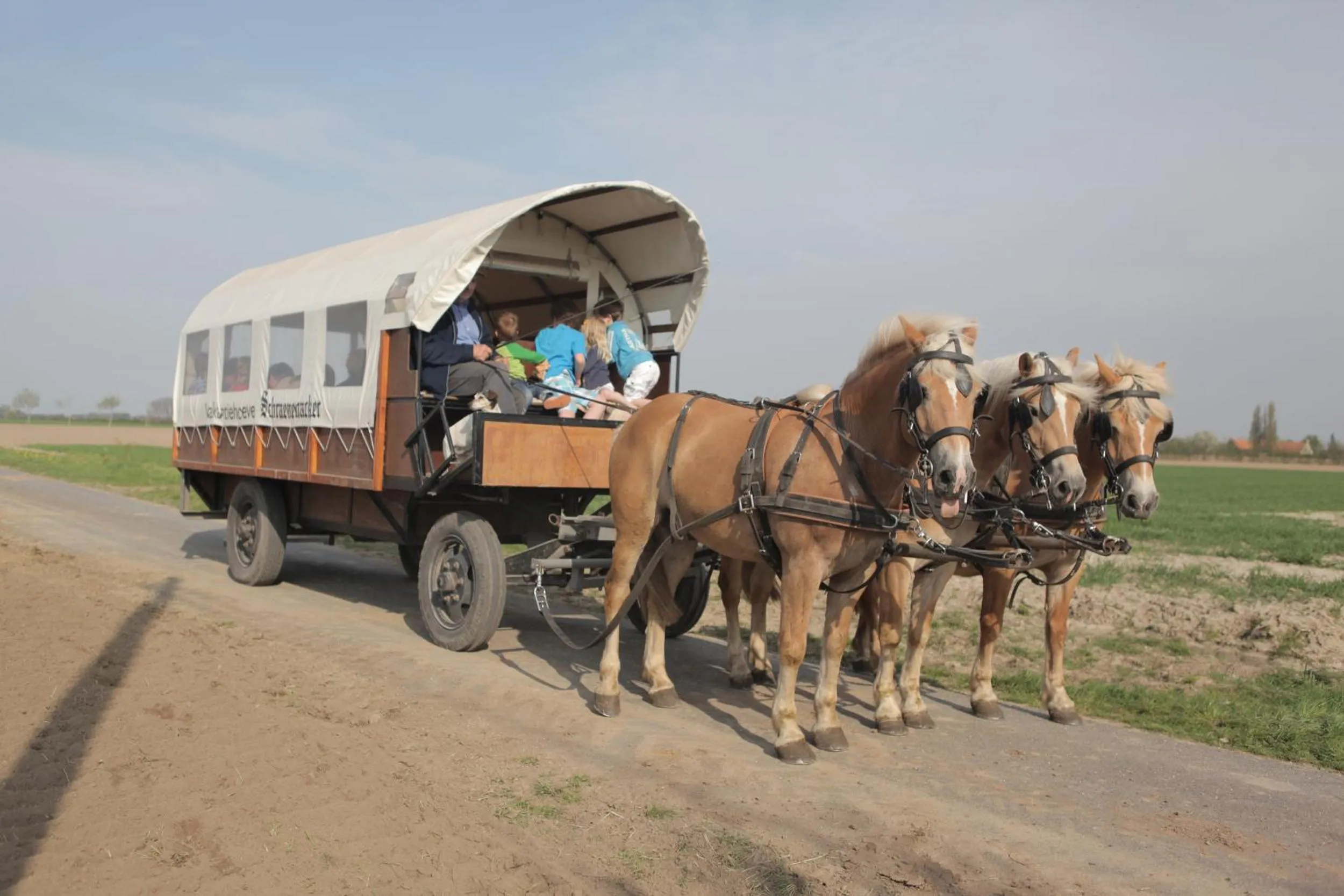 Animals in Gasthof Schraevenacker