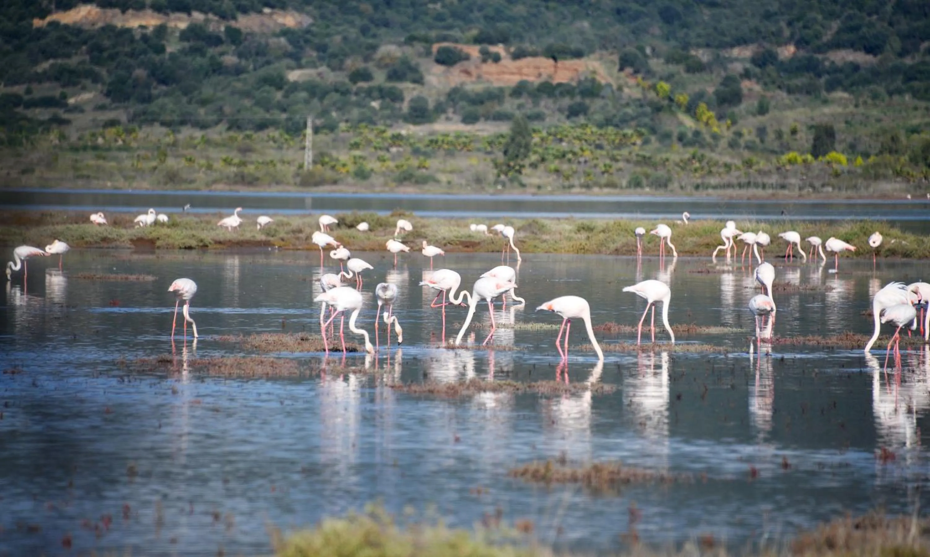 Natural landscape in Yalicapkini Boutique Hotel