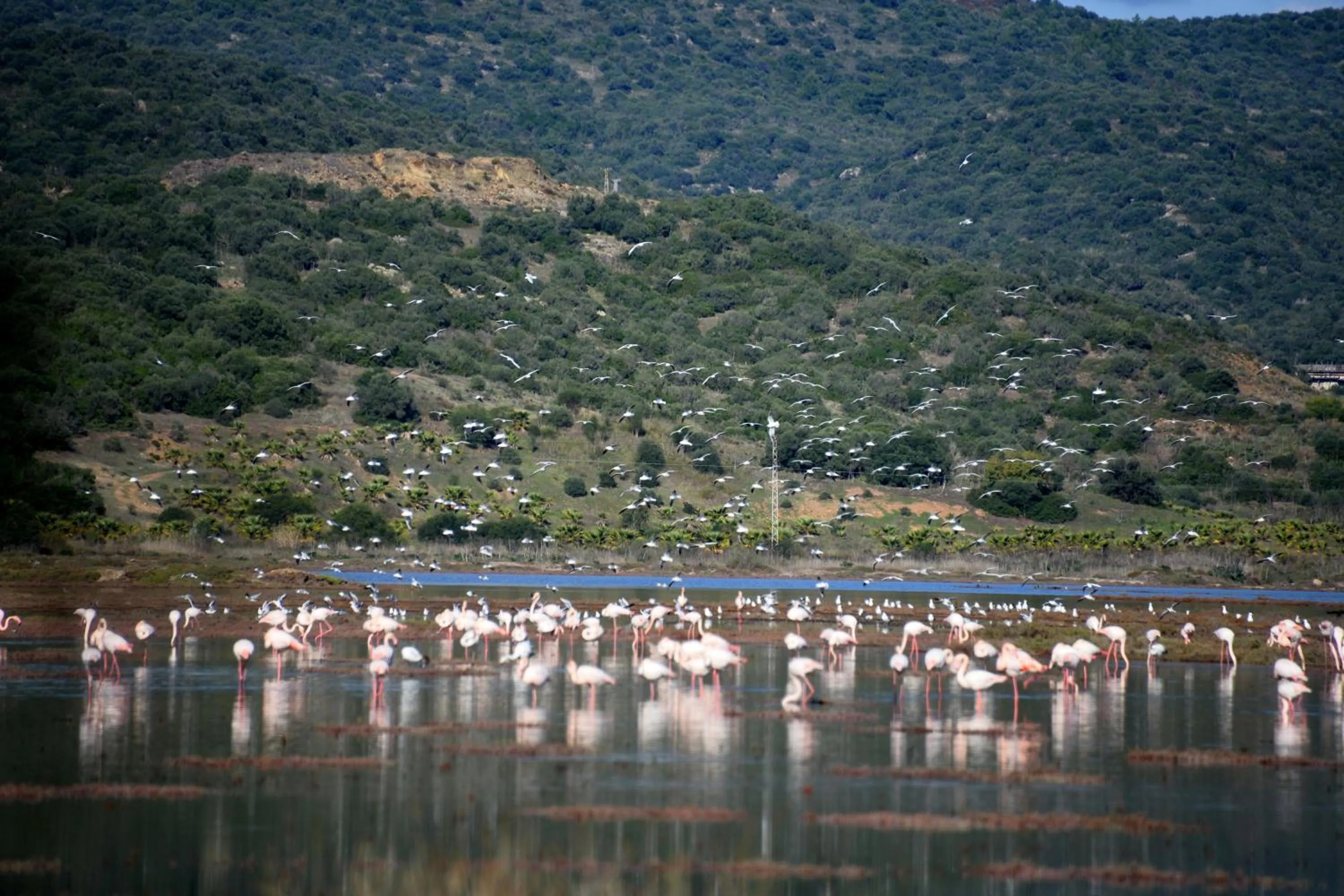 Natural landscape in Yalicapkini Boutique Hotel
