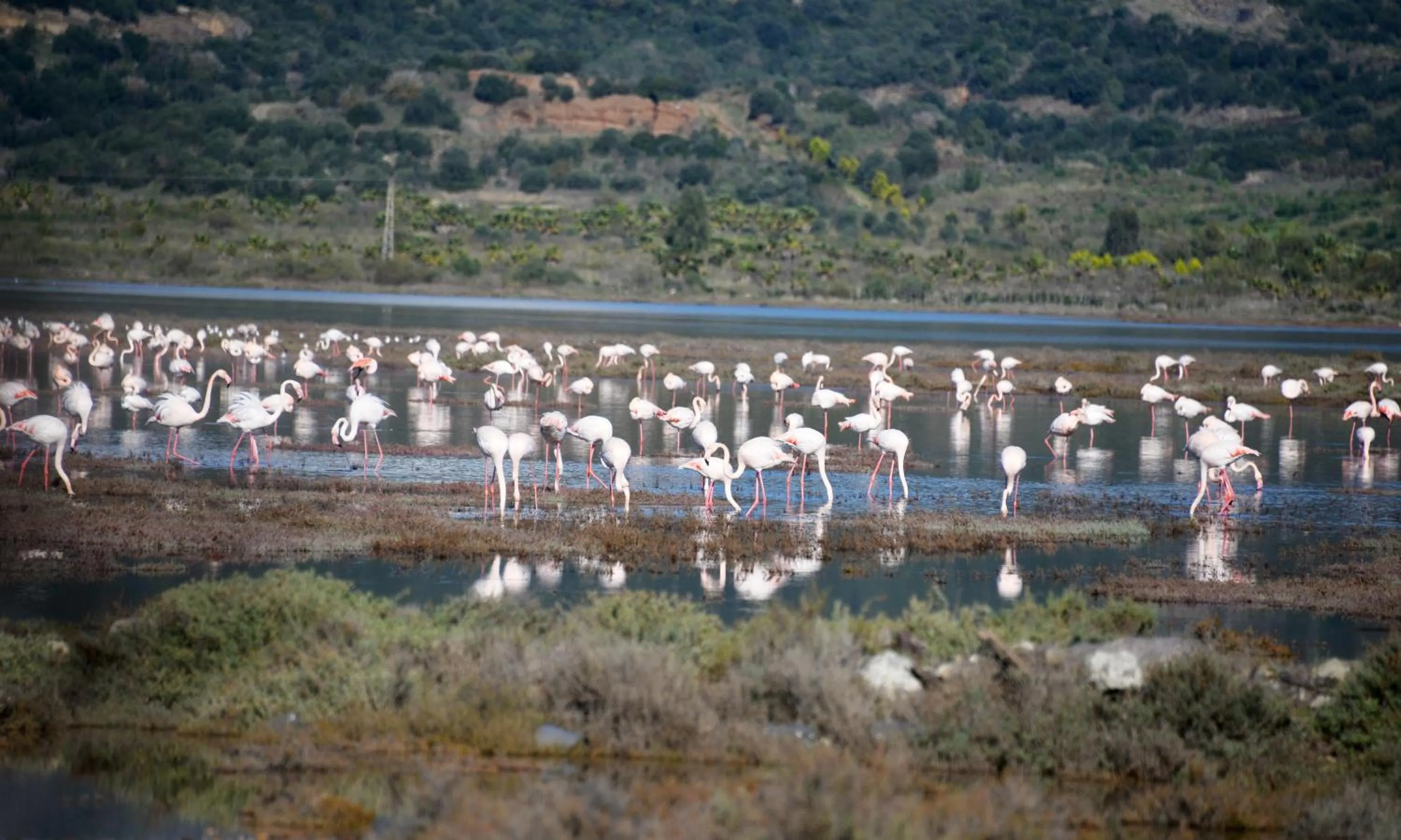 Natural landscape in Yalicapkini Boutique Hotel