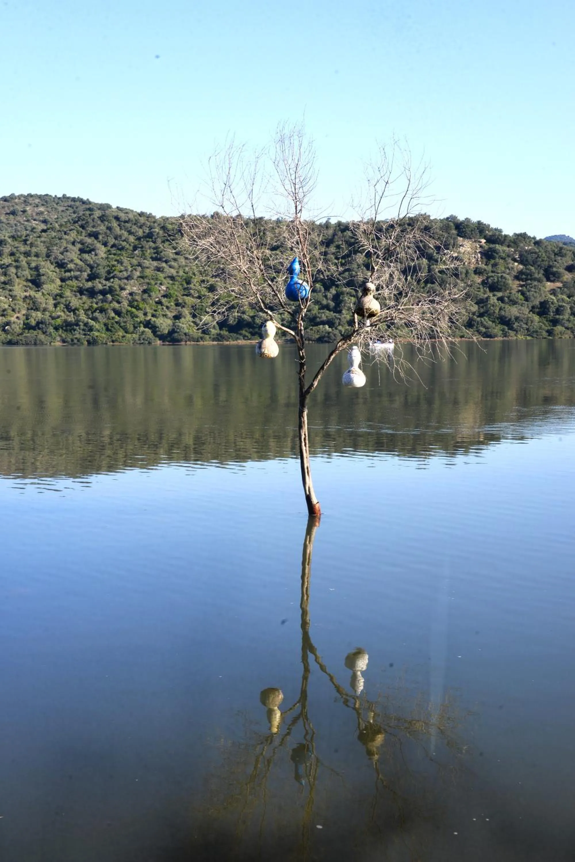 Natural landscape in Yalicapkini Boutique Hotel