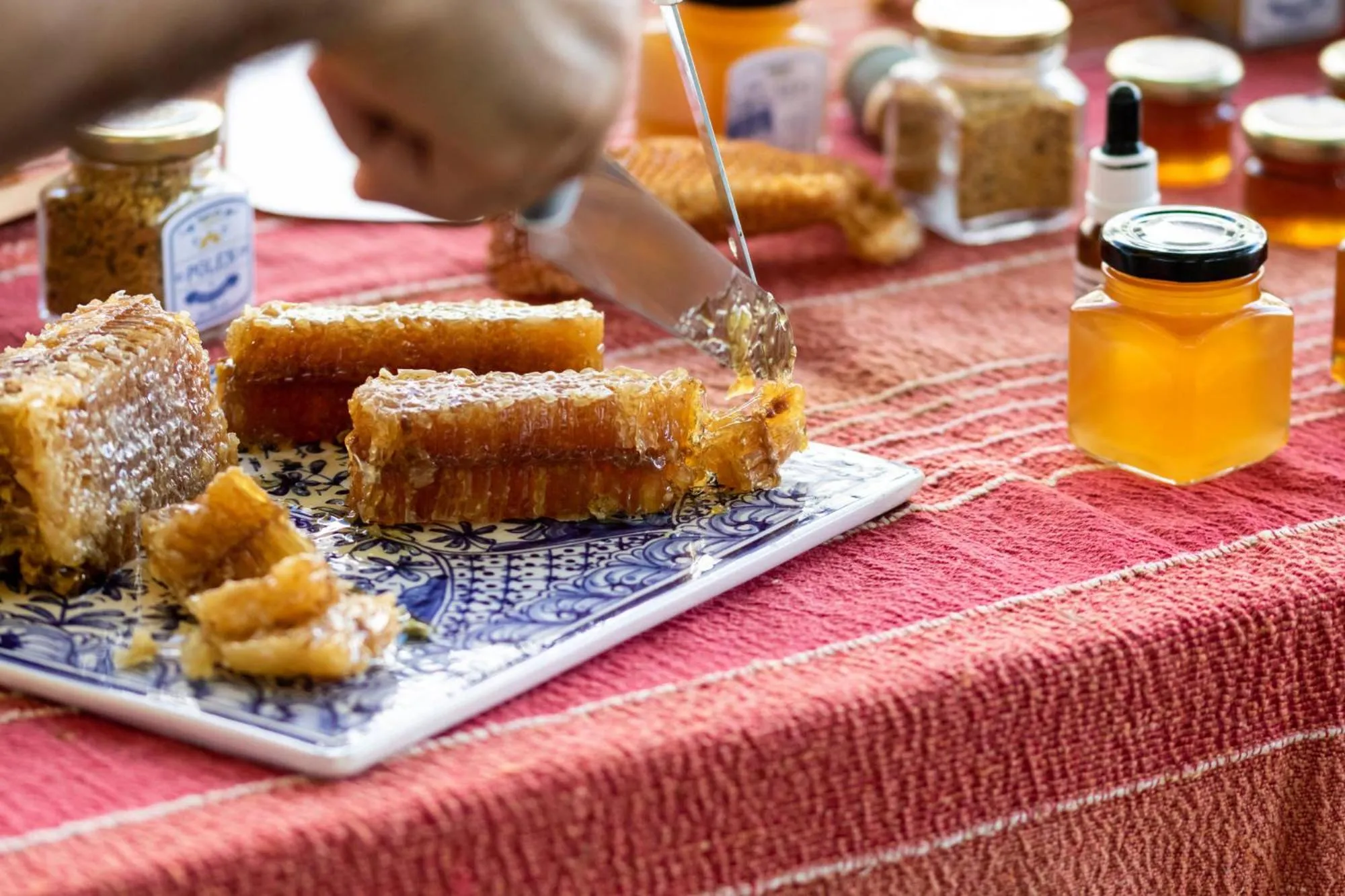 Activities in Quinta da Foz