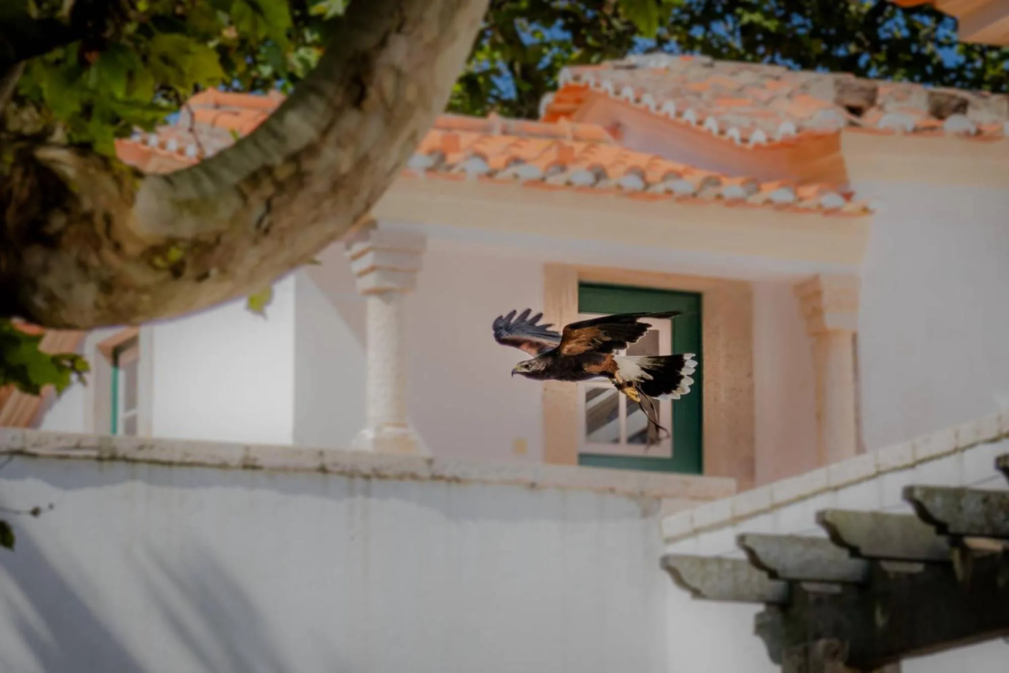 Activities in Quinta da Foz