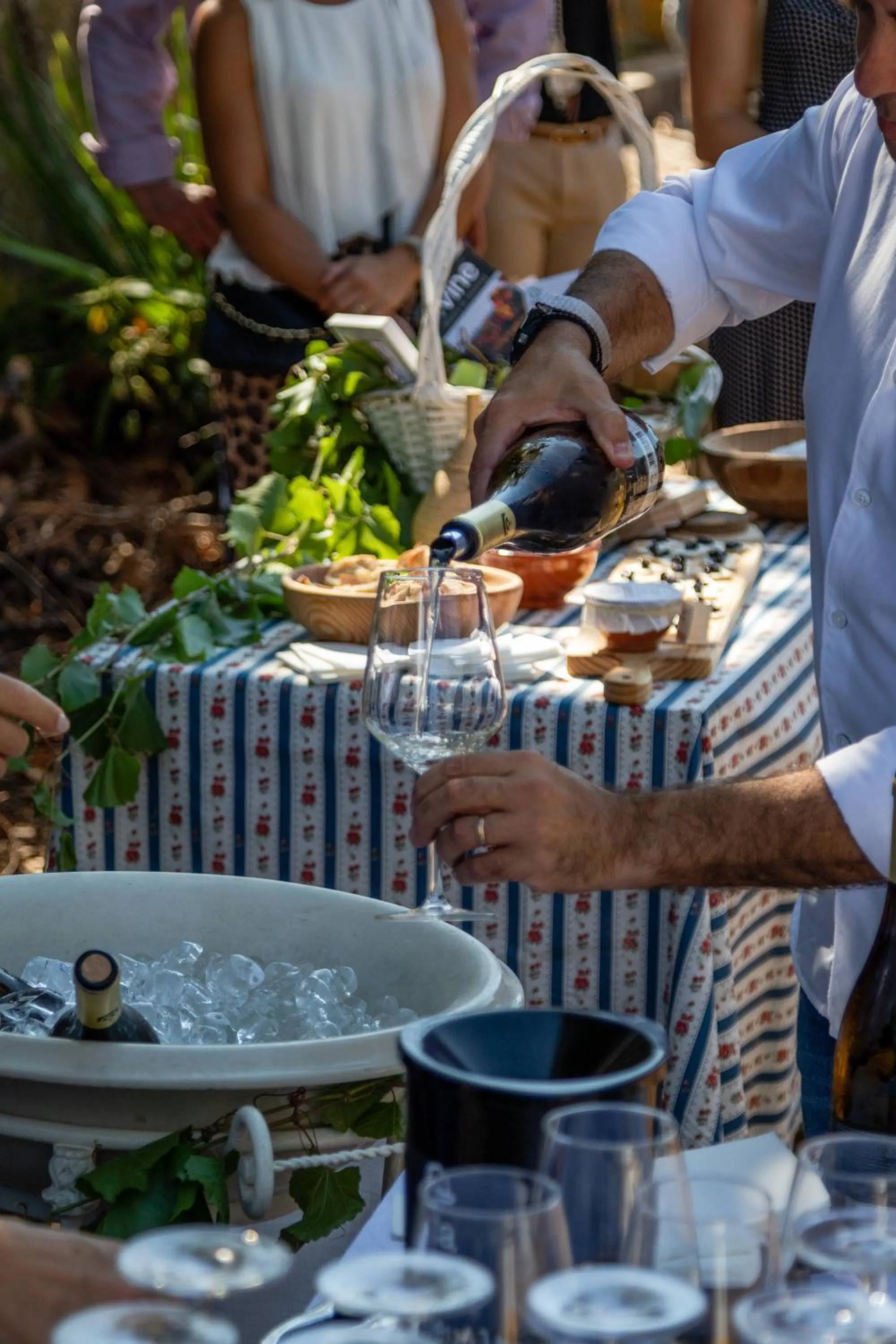 Activities in Quinta da Foz