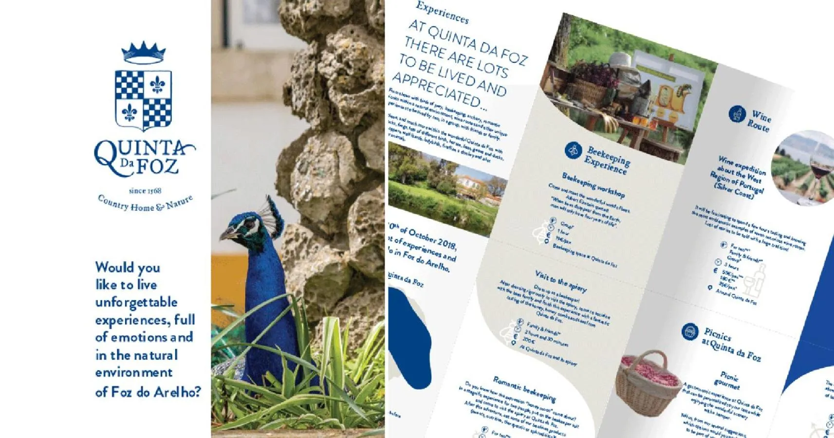 Activities in Quinta da Foz