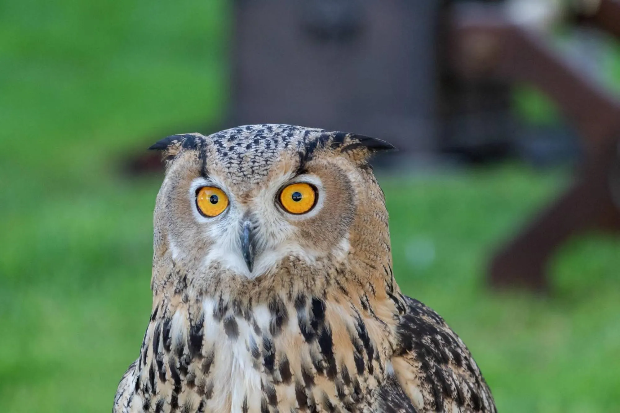 Activities in Quinta da Foz